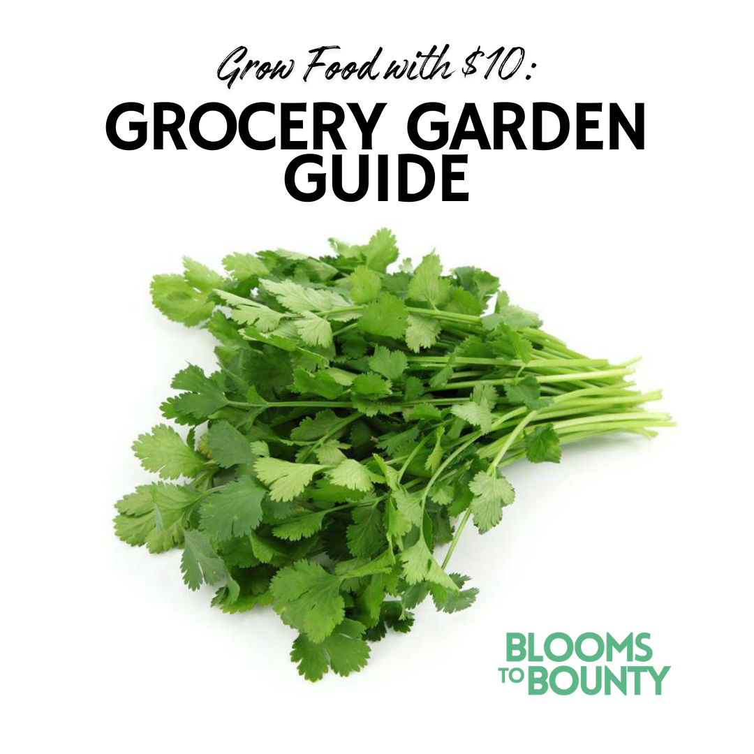 Grocery Garden Guide™
