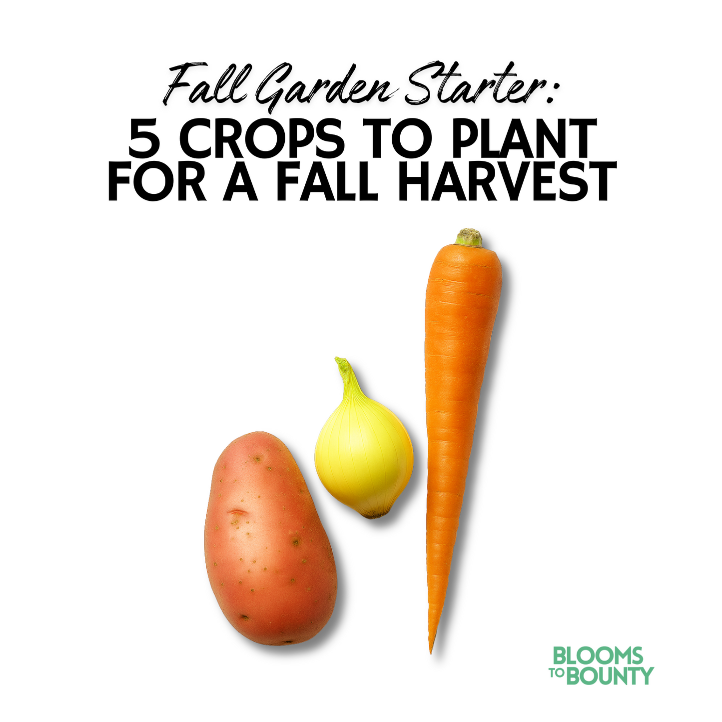5 Crops to Plant for Fall Harvest