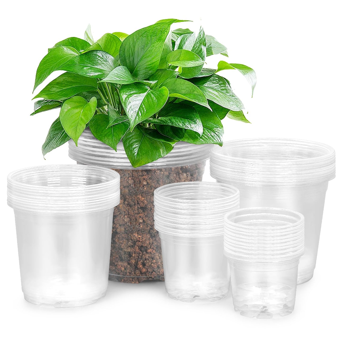 50 Pack 3/4/5/6/7 Inch Clear Nursery Pots with Drainage Holes, Durable Plastic Nursery Pots for Plants, Succulents, Herbs, Flowers, and Vegetable Seedlings (3+4+5+6+7 inch)