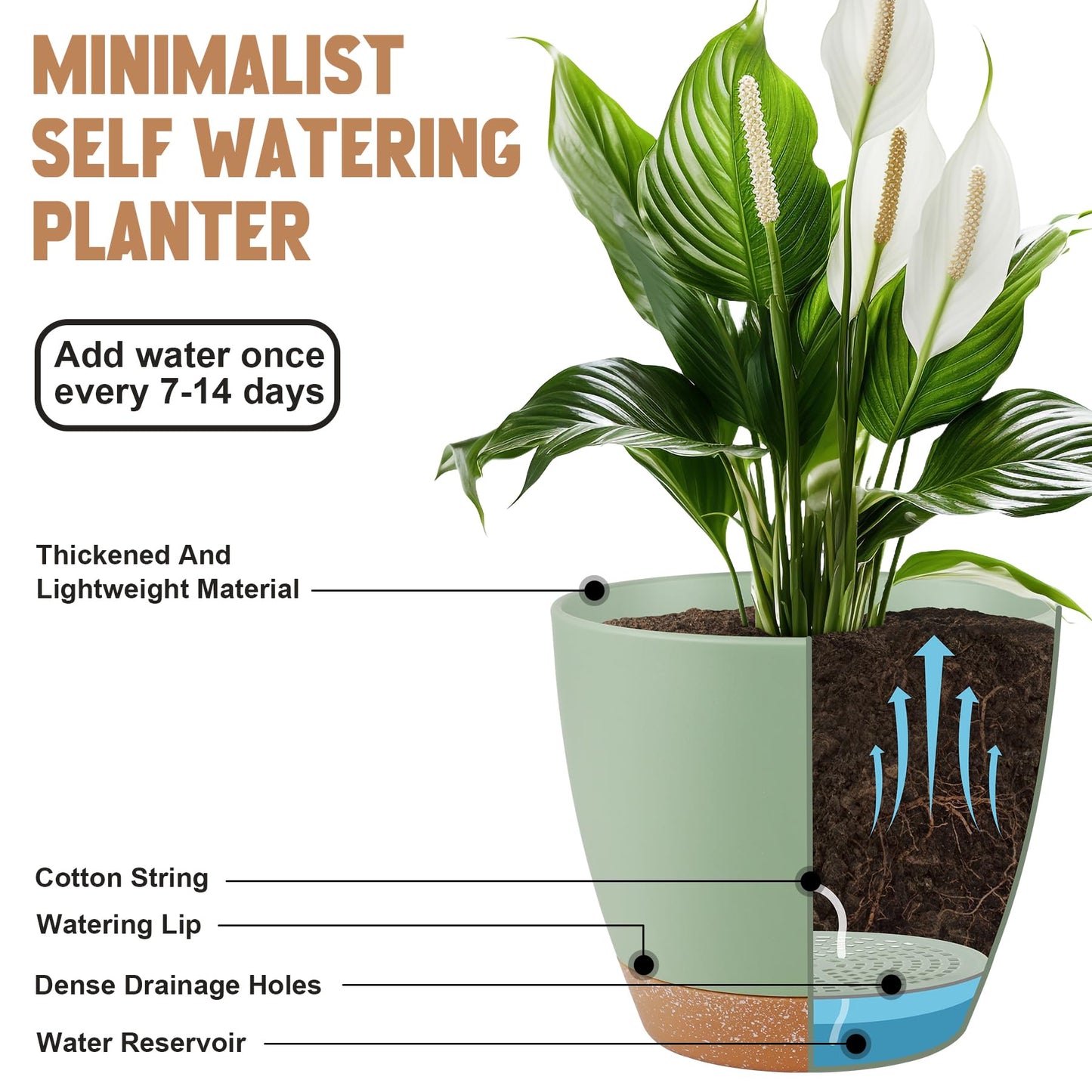 Plant Pots 10/9/8/7.5/7 Inch Self Watering Pots, Set of 5 Plastic Planters with Drainage Holes and Saucers,Plastic Flower Pots,Nursery Planting Pot for Indoor Out Door Plants(Green)