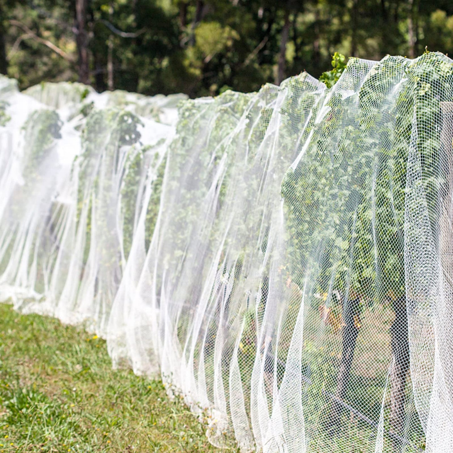 Unves Garden Netting, 10 x 50 Ft Insect Bird Netting for Garden Protection, Ultra Fine Mesh Mosquito Net for Patio Vegetable Plants Fruit Tree, Birds Pests Bugs Plant Covers