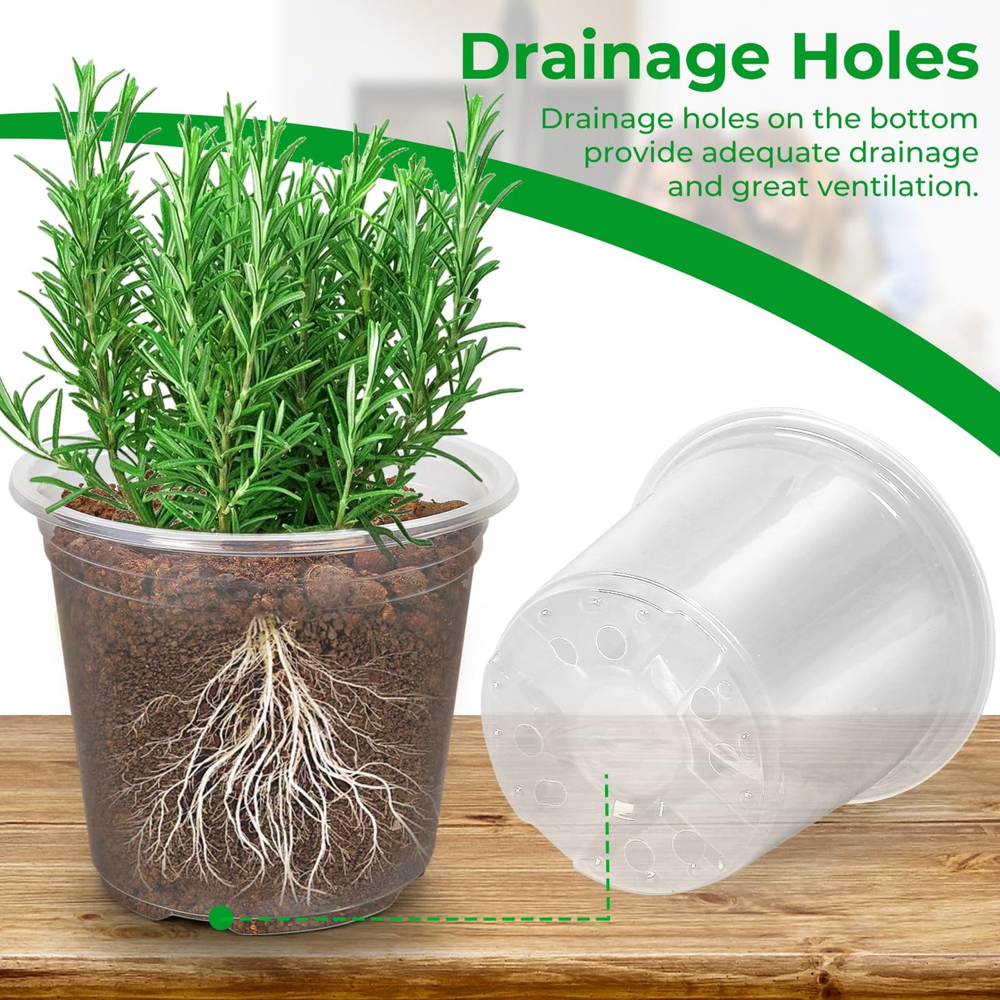 50 Pack 3/4/5/6/7 Inch Clear Nursery Pots with Drainage Holes, Durable Plastic Nursery Pots for Plants, Succulents, Herbs, Flowers, and Vegetable Seedlings (3+4+5+6+7 inch)