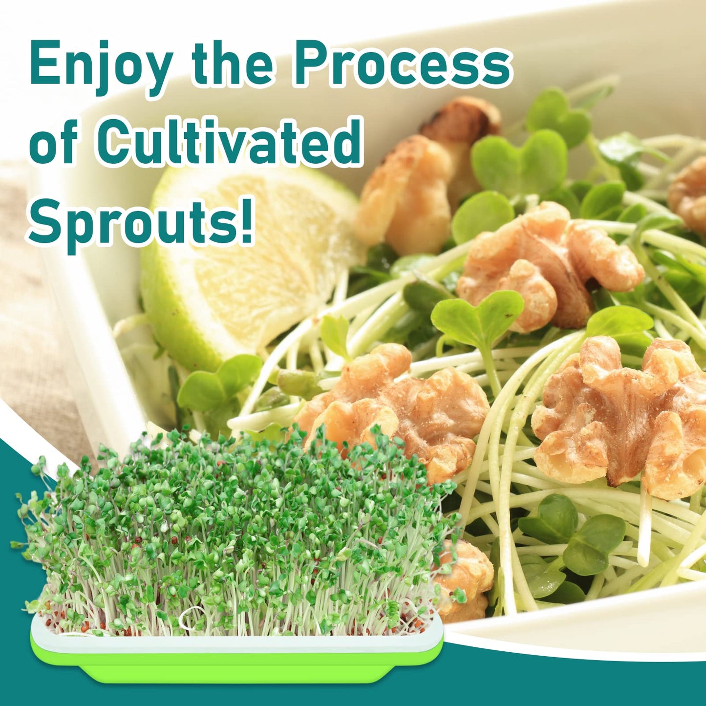 Legigo 10 Pack Green Seed Sprouter Trays- Soil-Free Cultivation Germination Tray, BPA Free Nursery Tray with Planting Paper for Indoors or Outdoors Sprouting Seeds, Grow Grass, Beans (Without Lids)