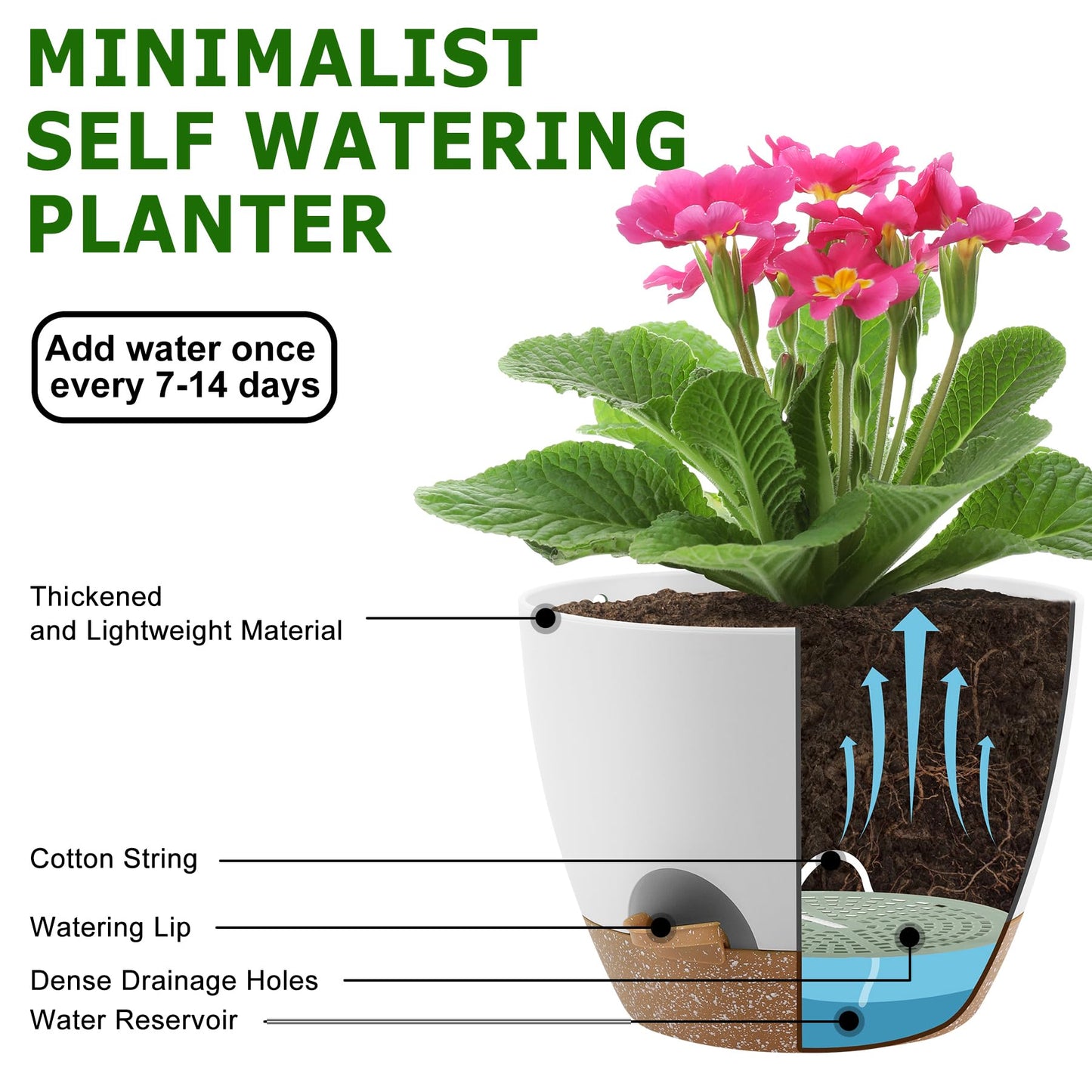 Plant Pots 10/9/8/7.5/7 Inch Self Watering Pots, Set of 5 Plastic Planters with Drainage Holes and Saucers,Plastic Flower Pots,Nursery Planting Pot for Indoor Out Door Plants(Green)