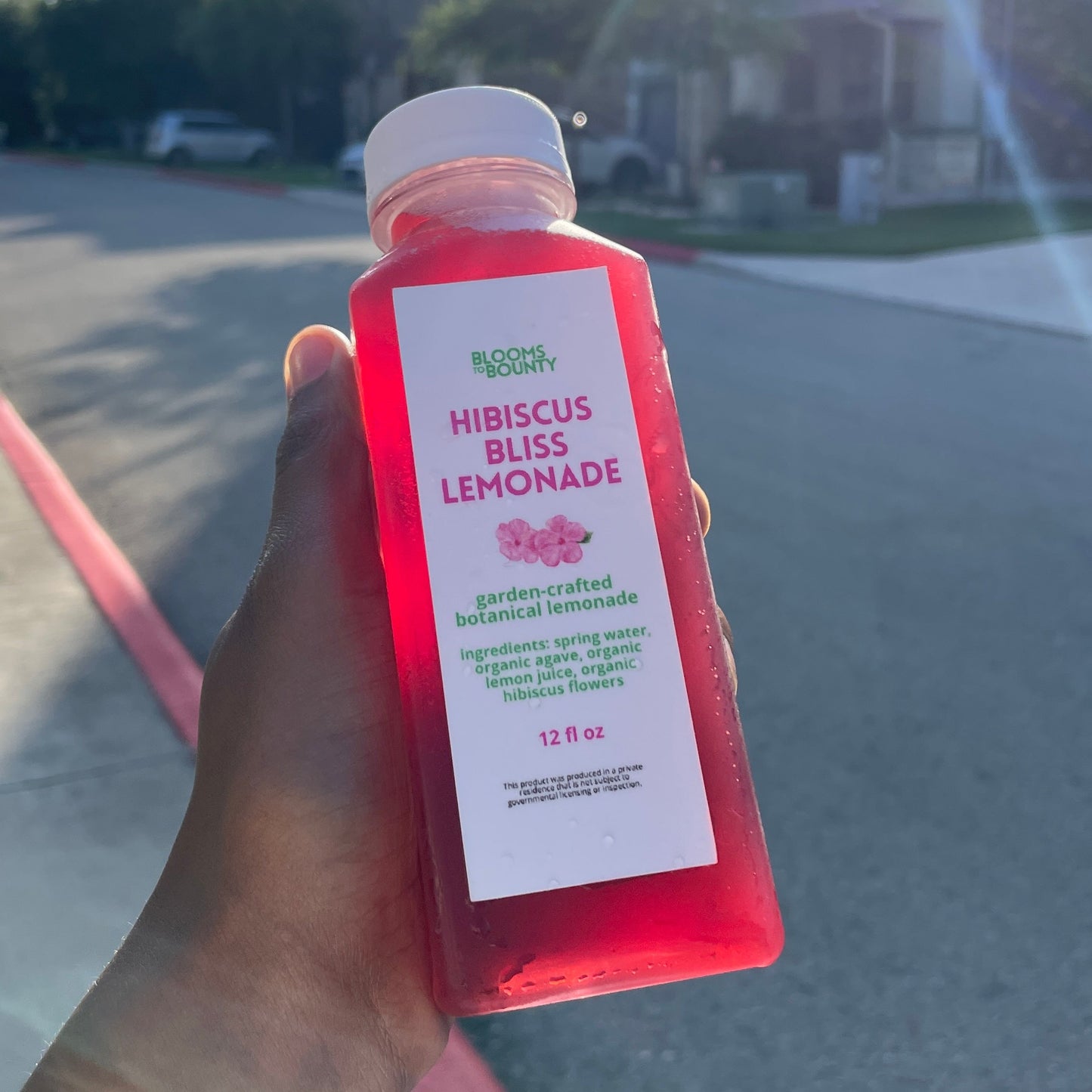 Hibiscus Bliss Lemonade - Seasonal Botanical Lemonade