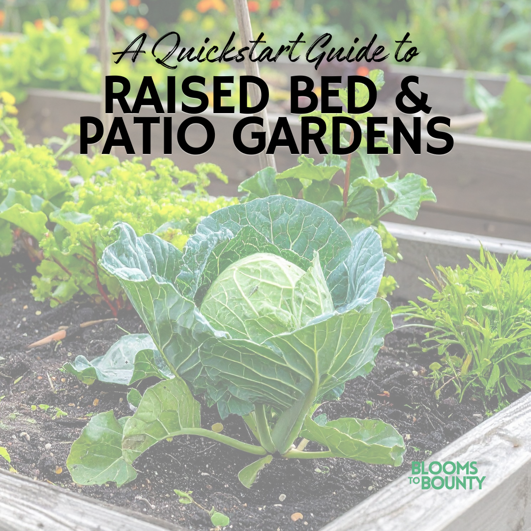 Raised Bed & Patio Gardens: A Quickstart Guide