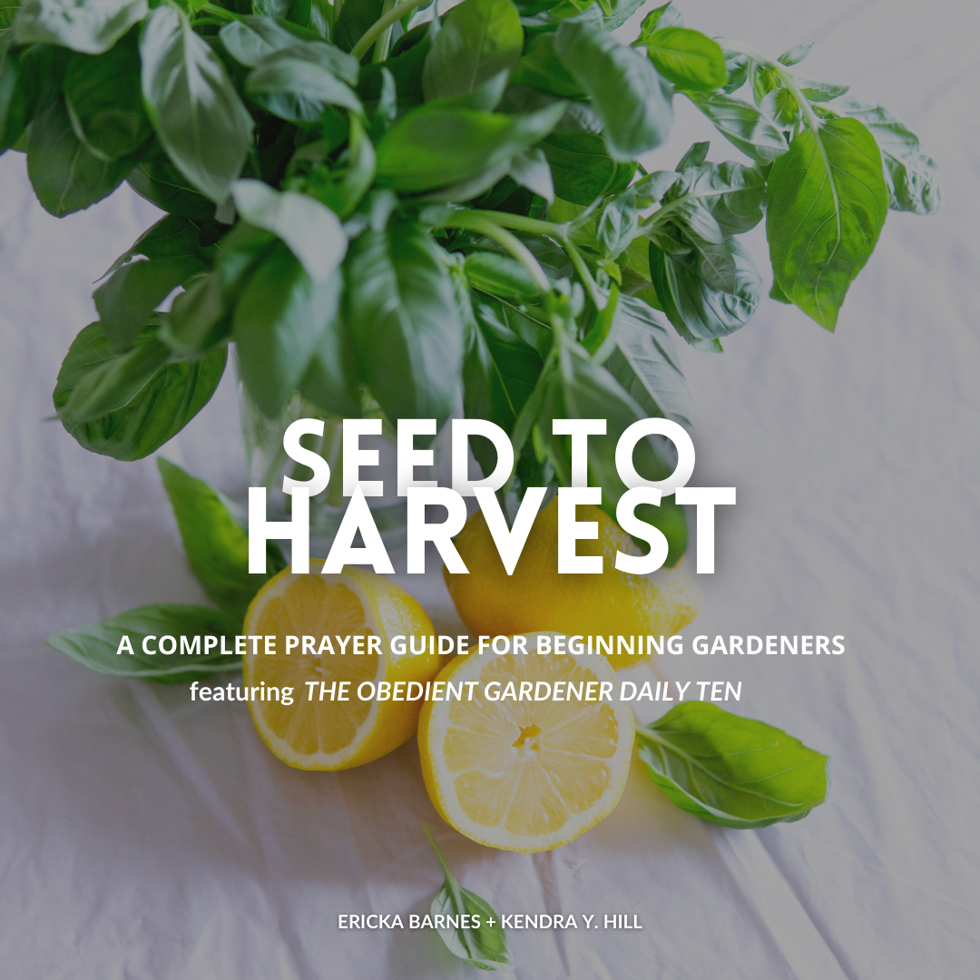 Seed to Harvest Prayer Guide (Instant Download)