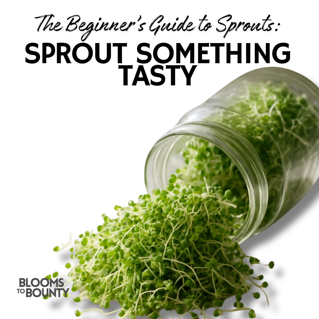 Sprout Something Tasty - Free Guide to Growing Sprouts