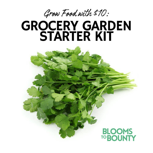 Grow Food with $10: Grocery Garden Starter Kit™
