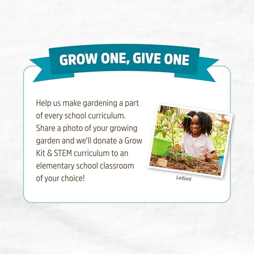 Back to the Roots 100% Organic Potting Mix (Value 12 Quart) | Premium Blend | Made in The USA