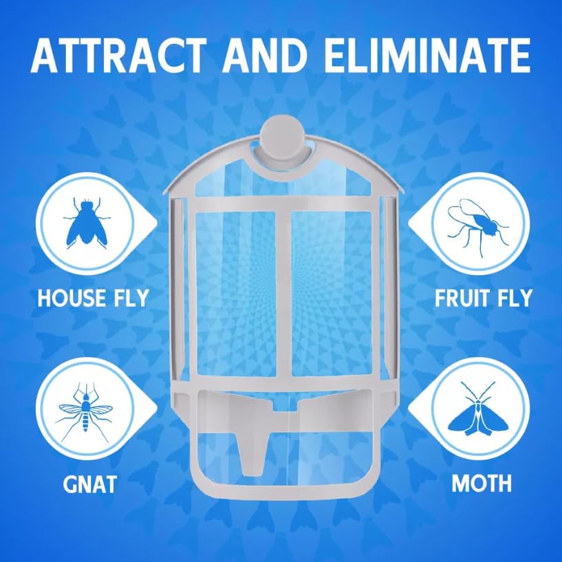 Zevo Flying Insect Trap & 3 Refill Cartridges - Plug in Fly Trap & Indoor Bug Catcher for Gnats, House & Fruit Flies - Blue & UV Light Technology, Mess-Free Alternative to Bug Zapper