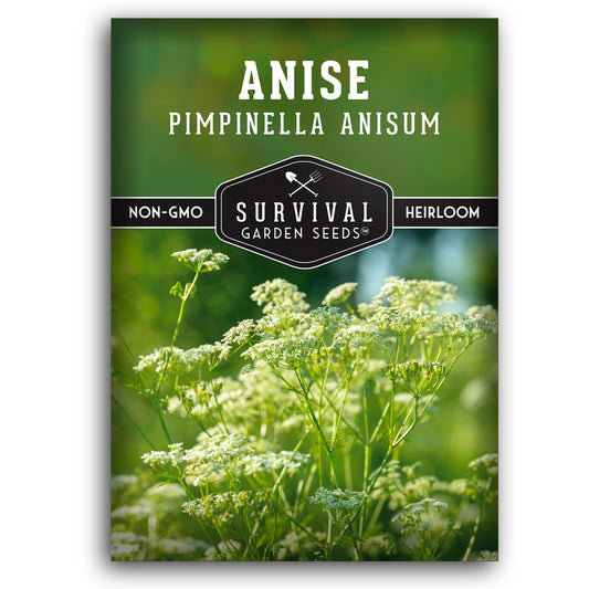 1 Pack Anise Seed for Planting with Instructions to Grow Aniseed in Your Home Herb Garden - Non-GMO Heirloom - Medicinal and Culinary - Unique Plant Seeds - Survival Garden Seeds