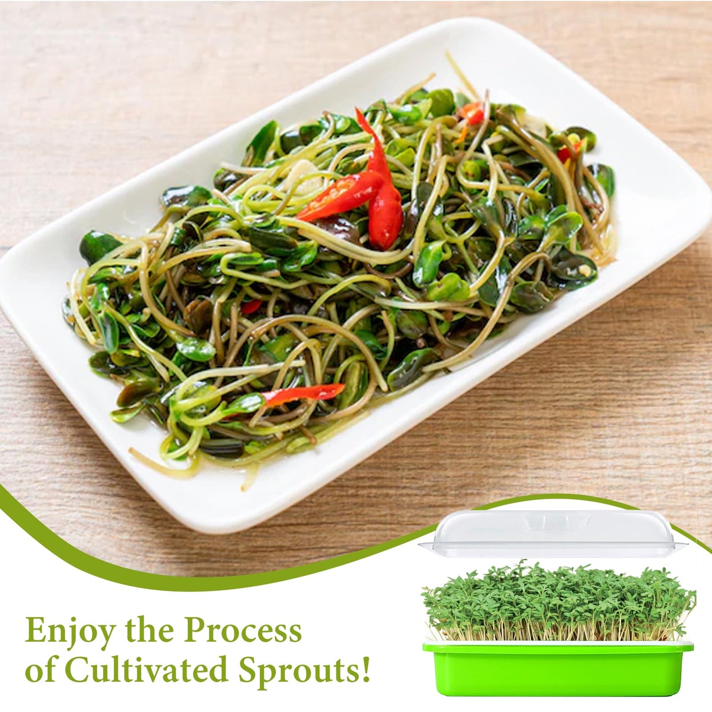 Legigo 10 Pack Green Seed Sprouter Trays- Soil-Free Cultivation Germination Tray, BPA Free Nursery Tray with Planting Paper for Indoors or Outdoors Sprouting Seeds, Grow Grass, Beans (Without Lids)