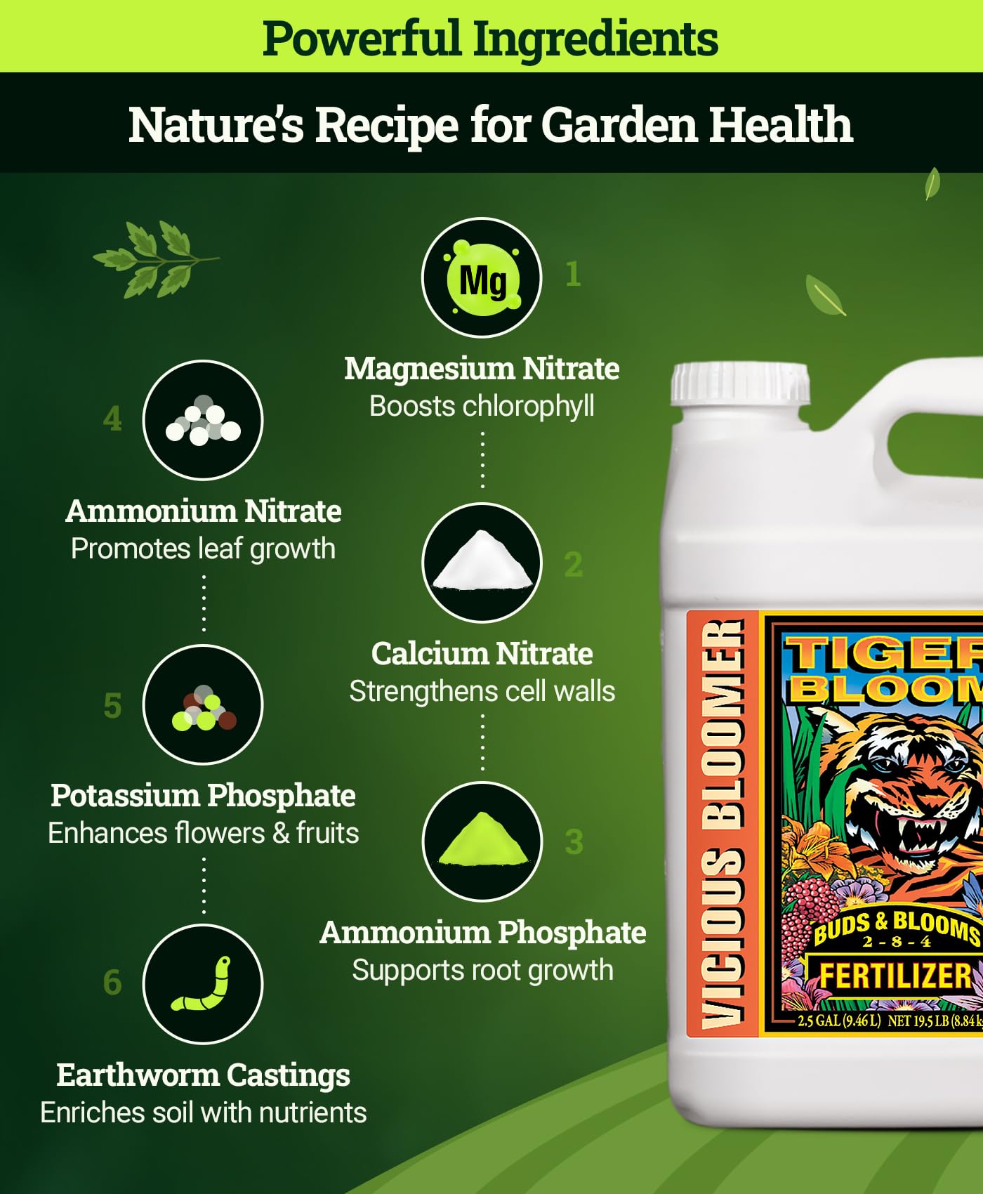 FoxFarm Tiger Bloom Liquid Fertilizer Concentrate - Fast Acting Formula for Vicious Growth with Phosphorus - Encourages Fruit, Flower & Bud Development, NPK 2-8-4 (Pint)