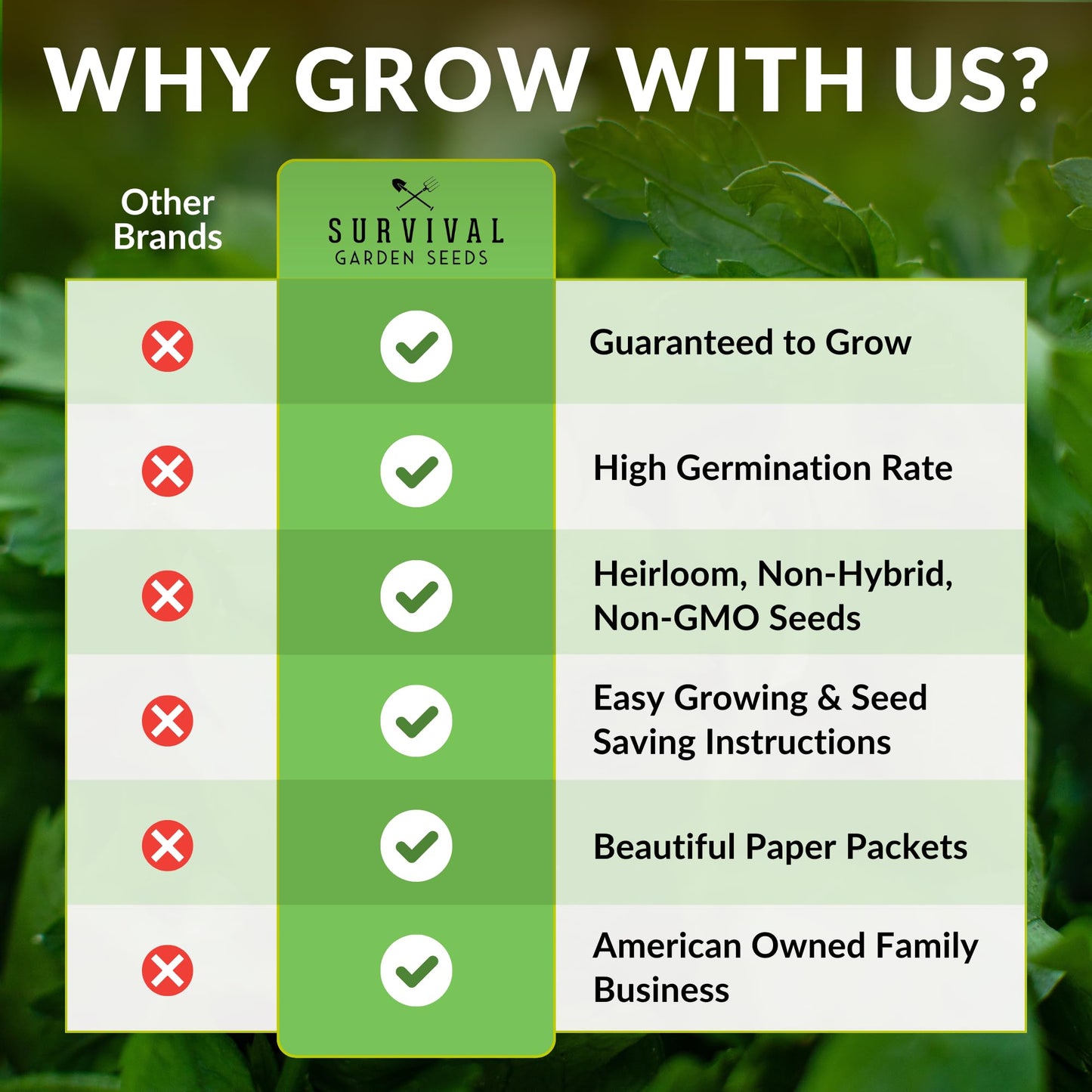 Southern Giant Mustard Green Seeds for Planting – Heirloom Non-GMO Spicy Greens, Heat Tolerant and Slow to Bolt for Home Vegetable Gardens - Survival Garden Seeds (2 Packs)