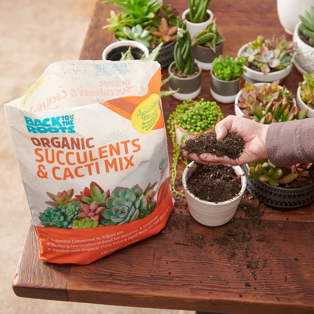 Back to the Roots 100% Organic Potting Mix (Value 12 Quart) | Premium Blend | Made in The USA