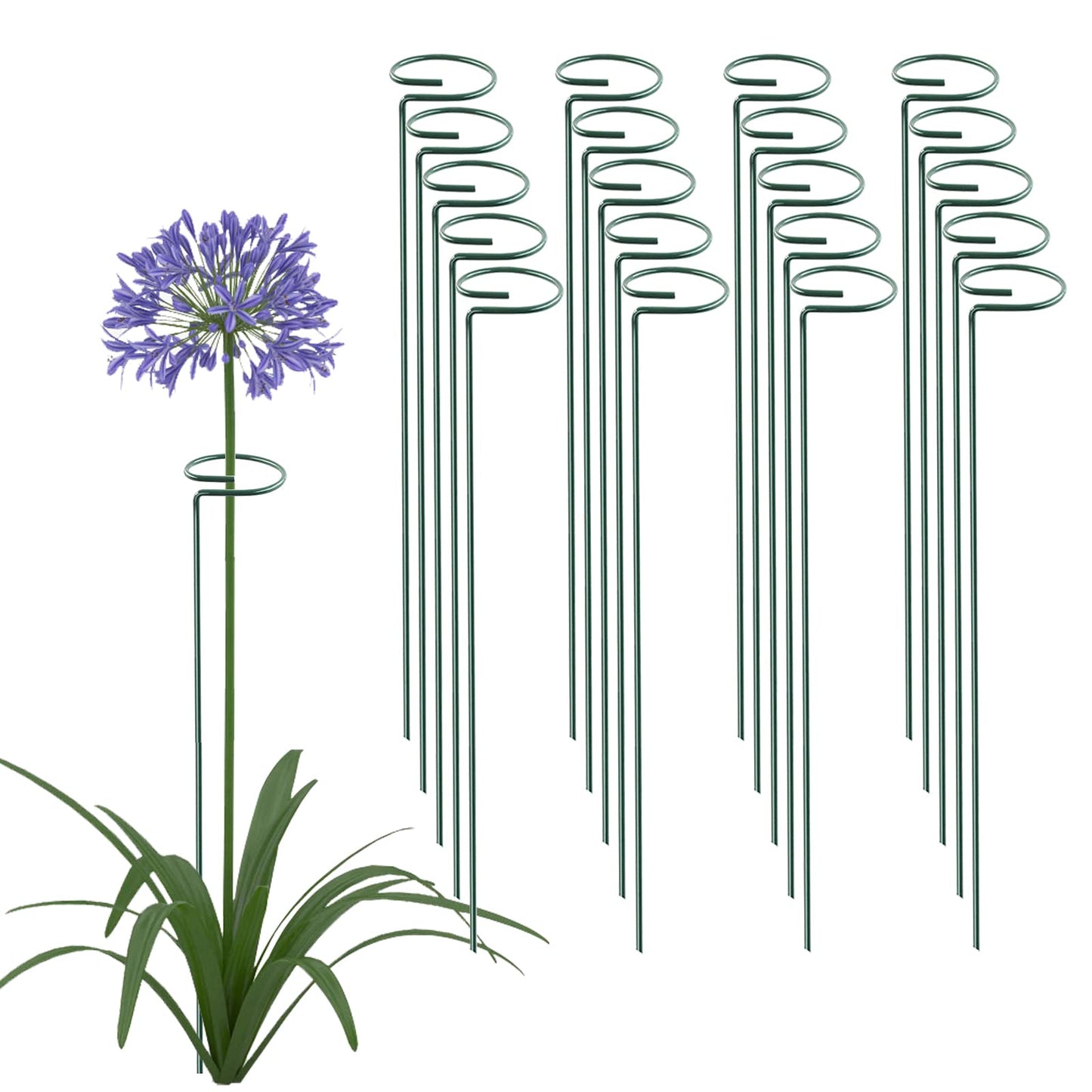 12 Pack 16 Inch Plant Support Stakes, Metal Single stemmed Flower Support Hoops，Garden Plant Stakes Plant Prop for Amaryllis Orchid Lily Rose Peony Tomatoes Gladiolus