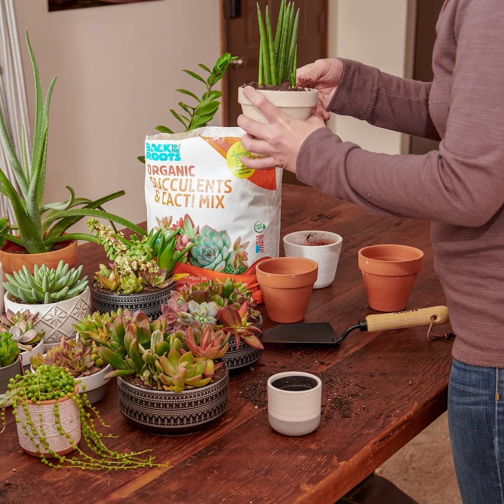 Back to the Roots 100% Organic Potting Mix (Value 12 Quart) | Premium Blend | Made in The USA