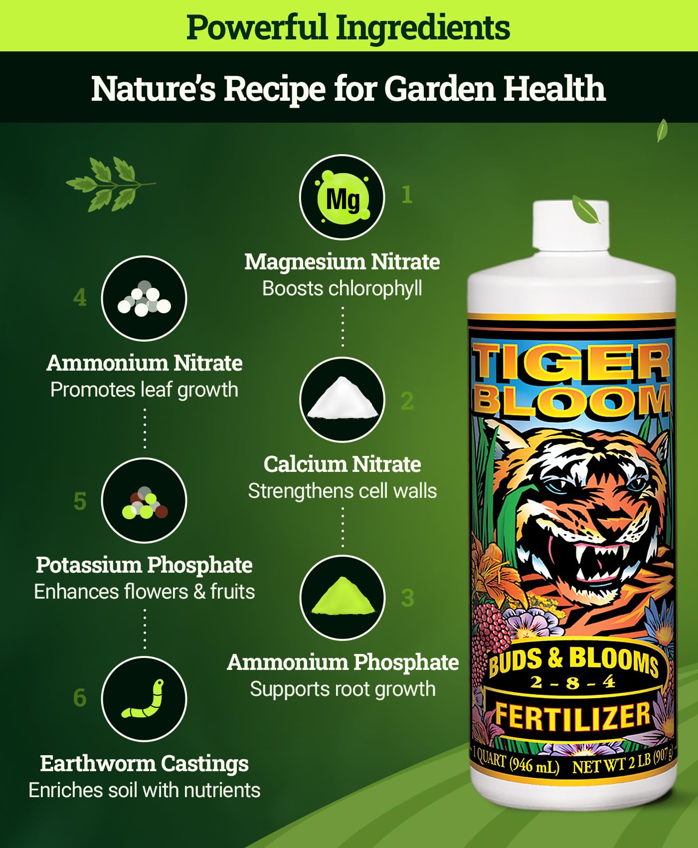 FoxFarm Tiger Bloom Liquid Fertilizer Concentrate - Fast Acting Formula for Vicious Growth with Phosphorus - Encourages Fruit, Flower & Bud Development, NPK 2-8-4 (Pint)