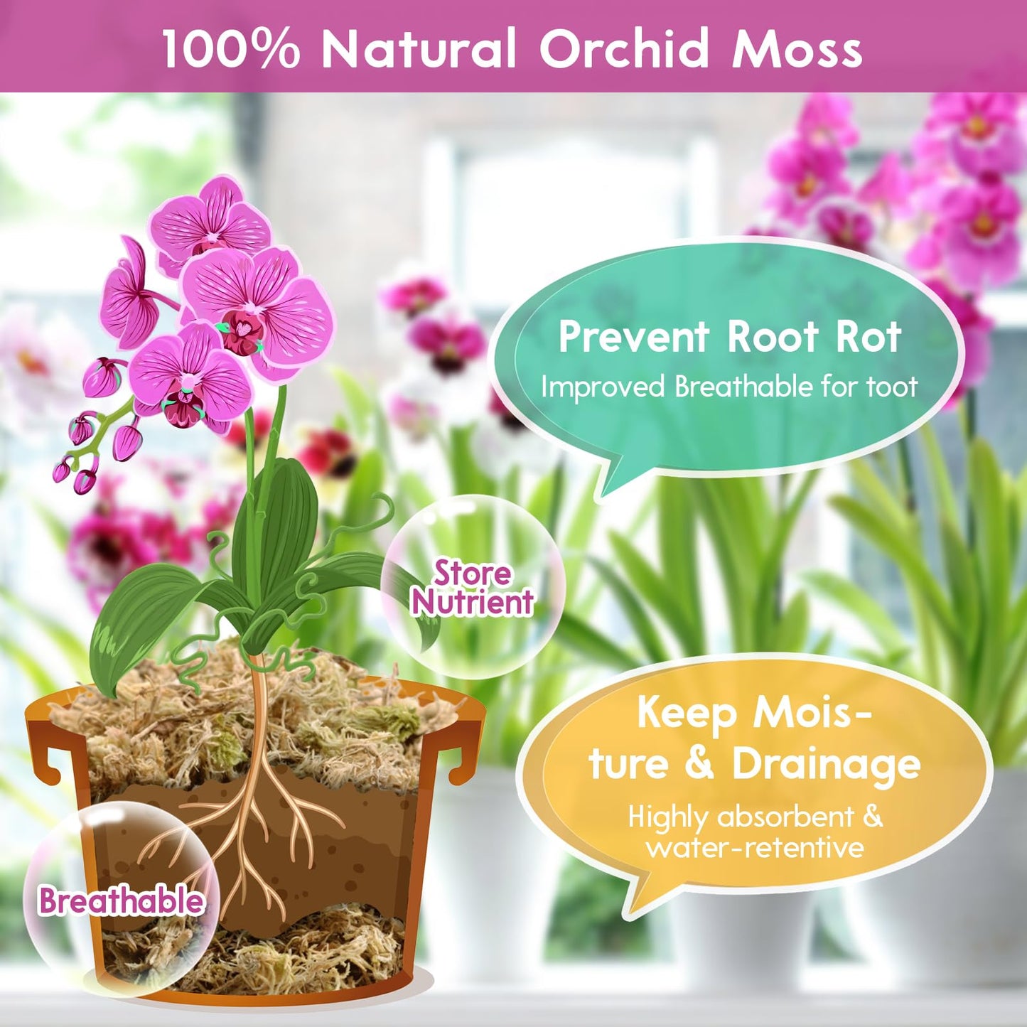 Riare 2.2 LB Premium Sphagnum Moss for Plants- 40QT Natural Long Fibered Sphagnum Peat Moss Plants Moss Dried, Carnivorous Plants Moss Orchid Potting Mix for Orchids, Carnivorous Plants, Succulent
