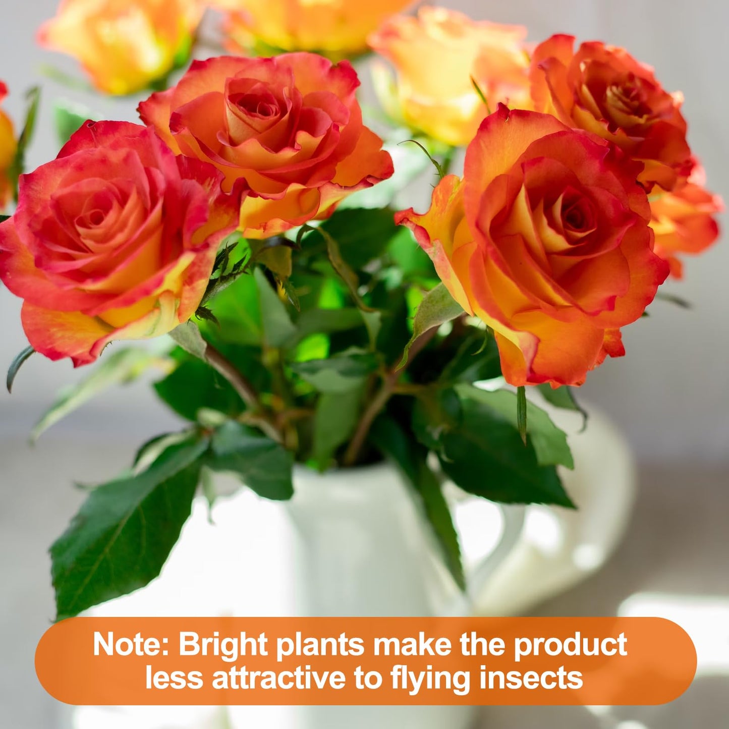 USKICH Sticky Traps Gnat Killer Fruit Fly Traps Non-Toxic and Odorless Fungus Gnat Traps Insect Traps Black Sticky Trap for Indoor and Outdoor Plants（96Pcs Black）