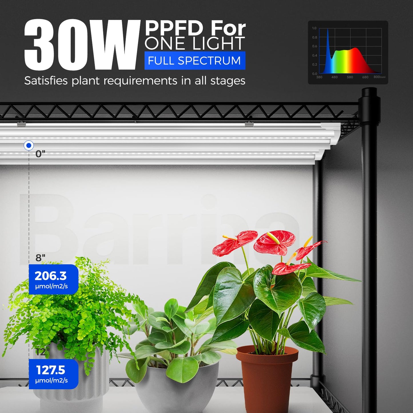 Barrina Mini Greenhouse with LED Grow Light for Indoor Plant, 4-Tier Portable Metal Plant Stand with Wheels, Plant Shelf with Tent, 6Pcs Plant Light with Timer and Thermo-Hygrometer, 35.4x13.8x59IN