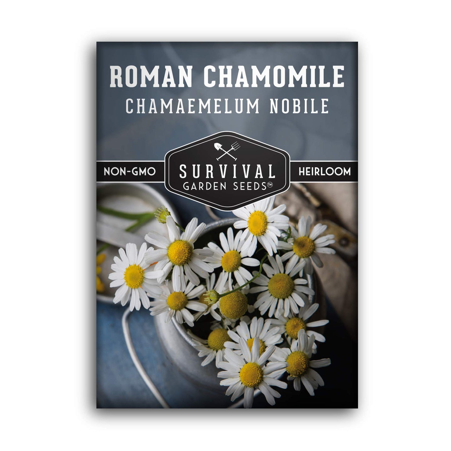 Roman Chamomile Seed for Planting - 3 Packets with Instructions to Plant & Grow Calming Medicinal Herbs in Your Home Vegetable Garden - Non-GMO Heirloom Variety - Survival Garden Seeds