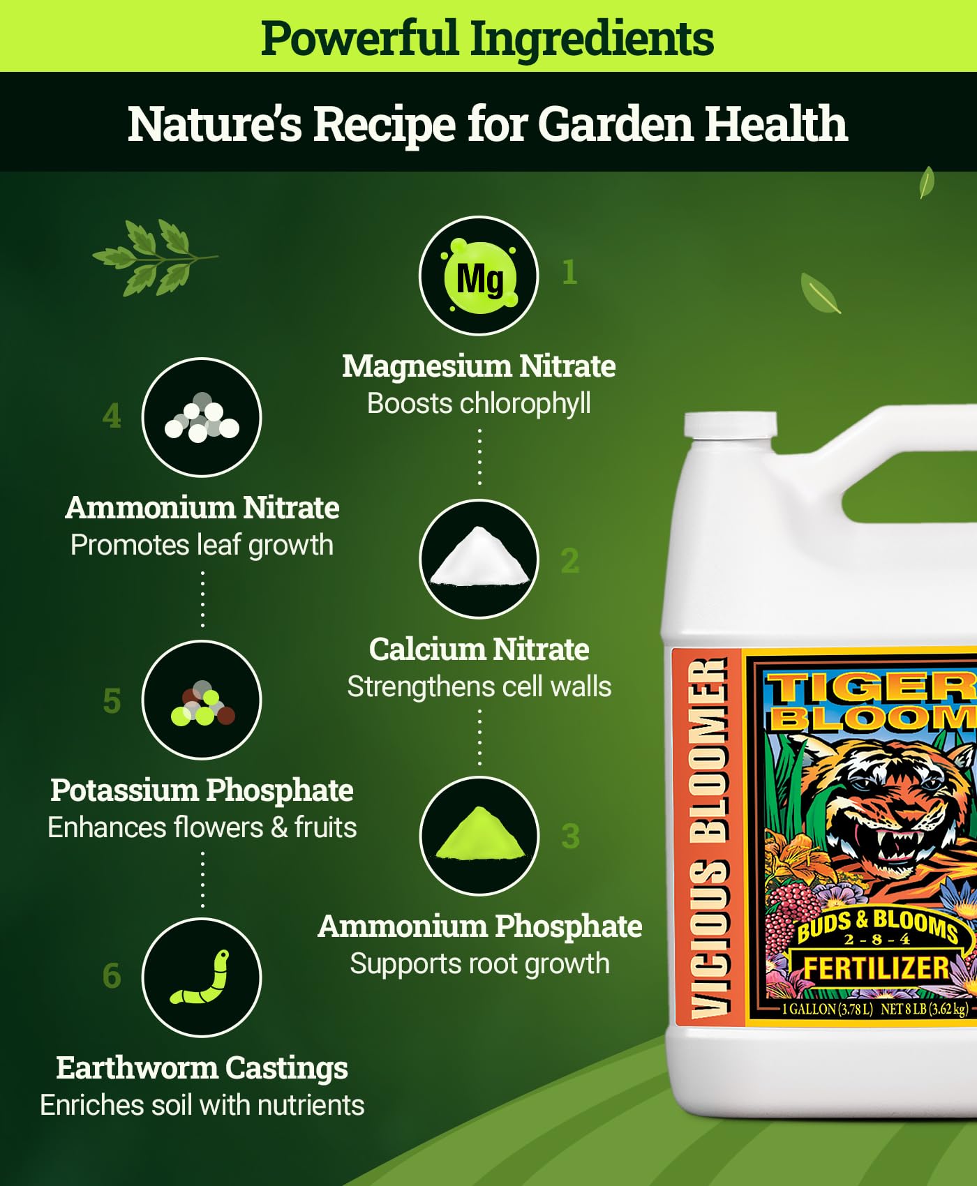 FoxFarm Tiger Bloom Liquid Fertilizer Concentrate - Fast Acting Formula for Vicious Growth with Phosphorus - Encourages Fruit, Flower & Bud Development, NPK 2-8-4 (Pint)
