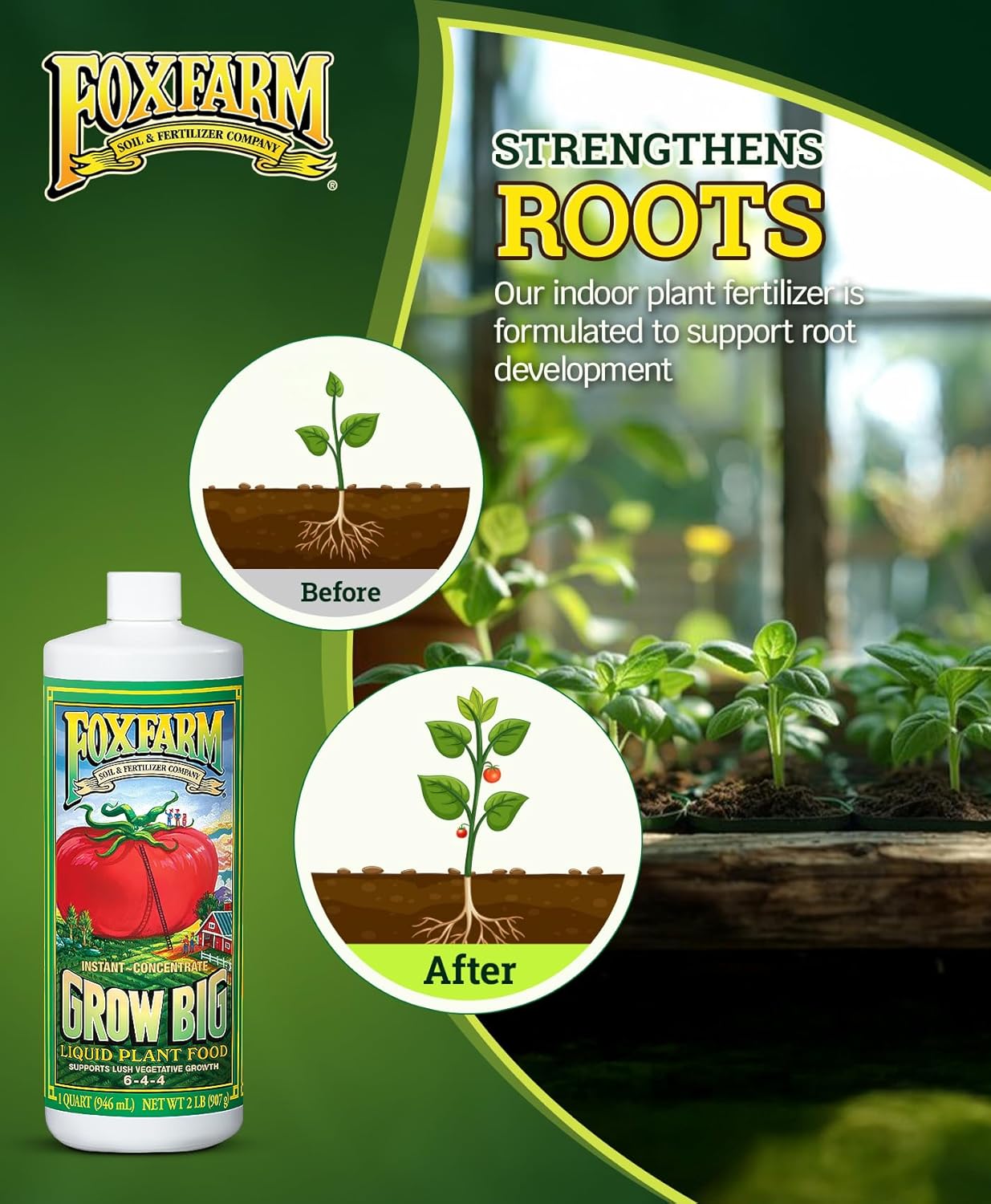 FoxFarm Grow Big Liquid Plant Food - Bloom Fertilizer for Flowers, Fruits, and Vegetables, Perfect for Indoor & Outdoor Potted Plants, NPK 6-4-4 (Pint)