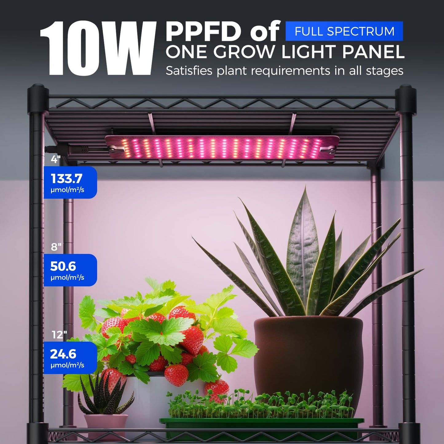 Barrina CX83 Plant Shelf with Grow Light, 5-Tier, Plant Stand with 10W Ultra-Thin Grow Light Panels for Hydroponics, Seedlings, Succulents, Flowers, Veg, 3/6/12h Timer, 15.7" L x 11.8" W x 59.1" H