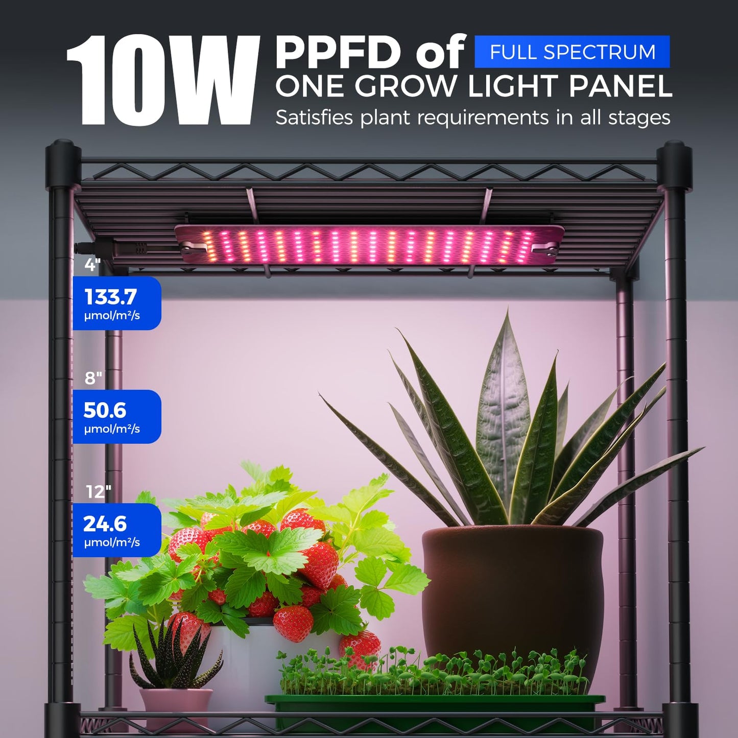 Barrina CX83 Plant Shelf with Grow Light, 5-Tier, Plant Stand with 10W Ultra-Thin Grow Light Panels for Hydroponics, Seedlings, Succulents, Flowers, Veg, 3/6/12h Timer, 15.7" L x 11.8" W x 59.1" H