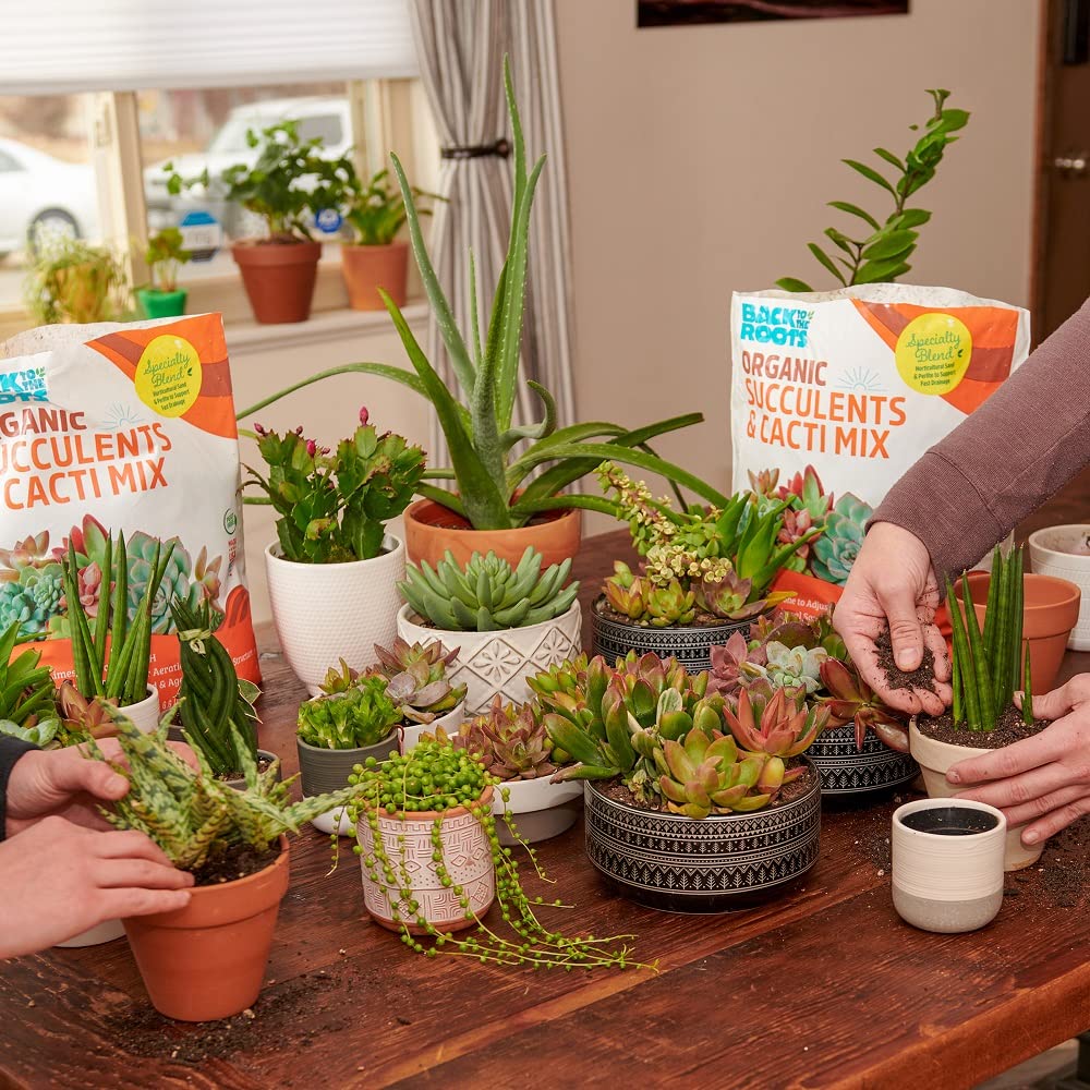 Back to the Roots 100% Organic Potting Mix (Value 12 Quart) | Premium Blend | Made in The USA