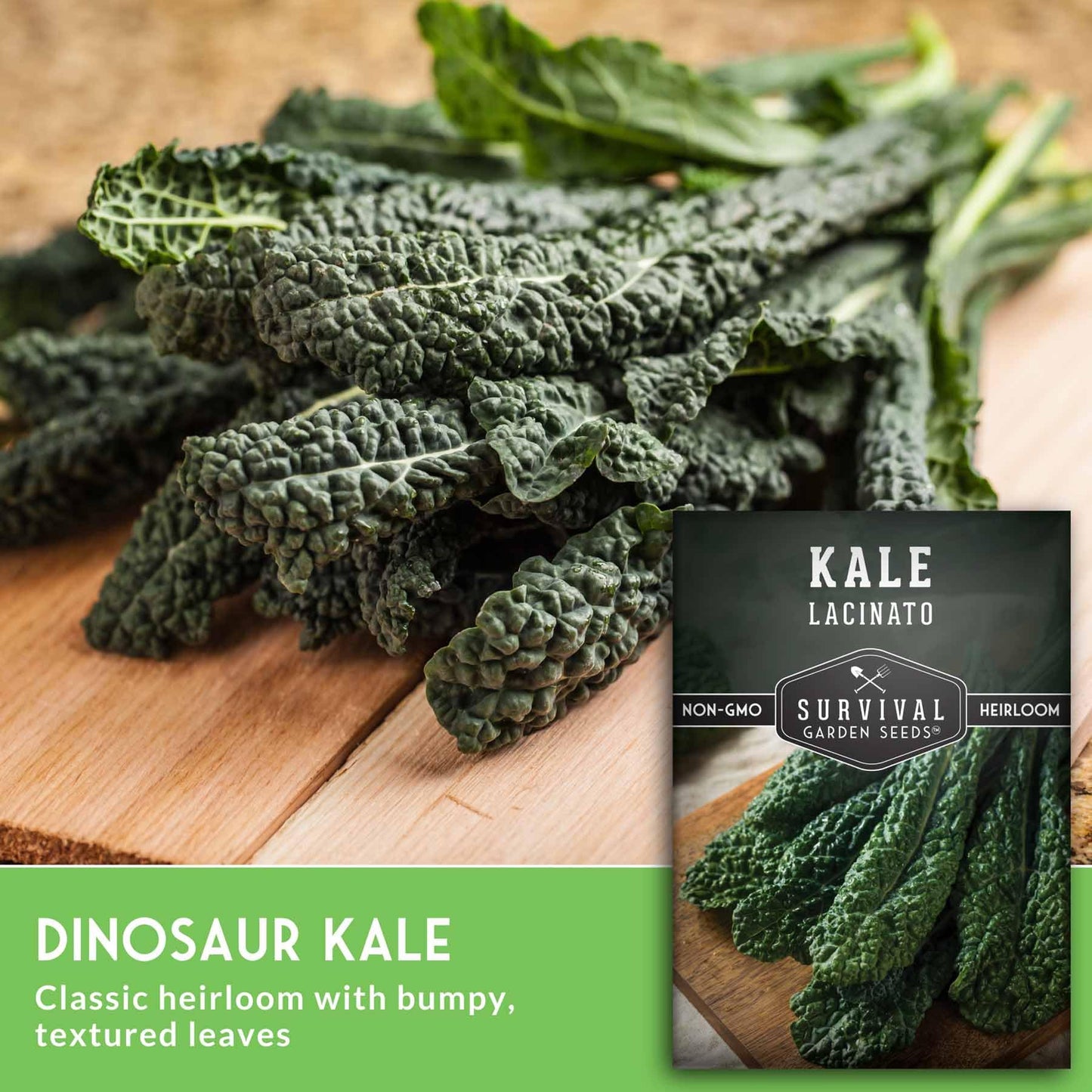 Lacinato Kale Seeds for Planting Outdoors or Indoors – Heirloom Dinosaur Tuscan Kale Variety – Cold Hardy Green for Fall & Spring Vegetable Gardens - Survival Garden Seeds (1 Pack)