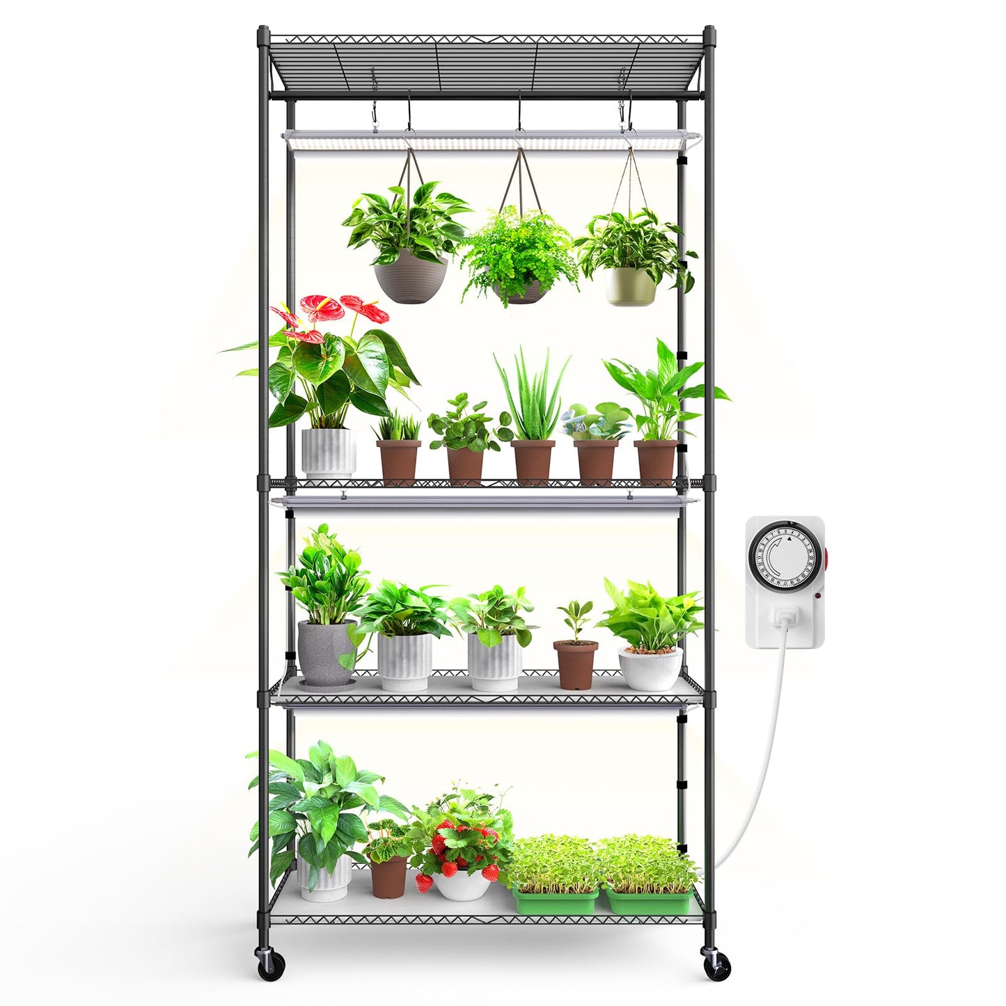 Barrina CX3Z Indoor Greenhouse with Grow Light, 4-Tier Metal Plant Stand with Zippered EVA Cover and Wheels, LED Full Spectrum 3FT 36W(per Light) Plant Growing Lamp with Timer, 35.4"x13.8"x70.9"