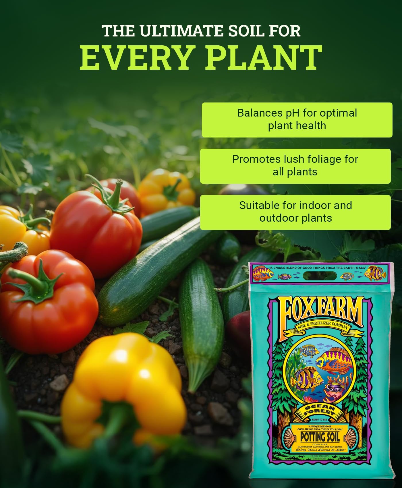 FoxFarm Ocean Forest Potting Soil, 12qt – Light, Aerated Texture, Designed for All Container Plants – pH Adjusted for Optimal Nutrient Uptake, Effectively Retains Moisture (12 Quart (1 Pack))