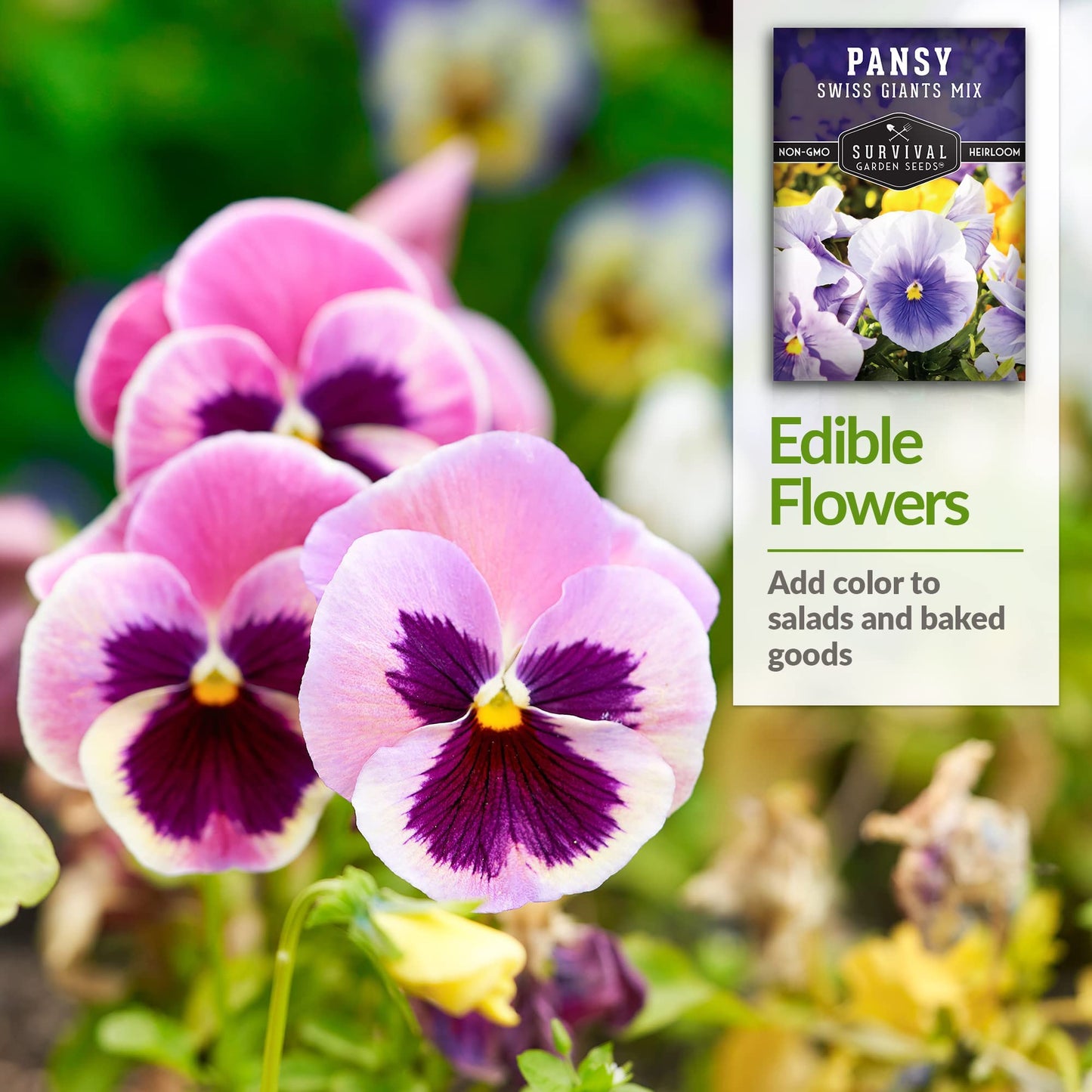 Survival Garden Seeds - Swiss Giant Mix Pansy Seed for Planting - Packet with Instructions to Plant and Grow Beautiful and Edible Pansies in Your Home Vegetable Garden - Non-GMO Heirloom Variety