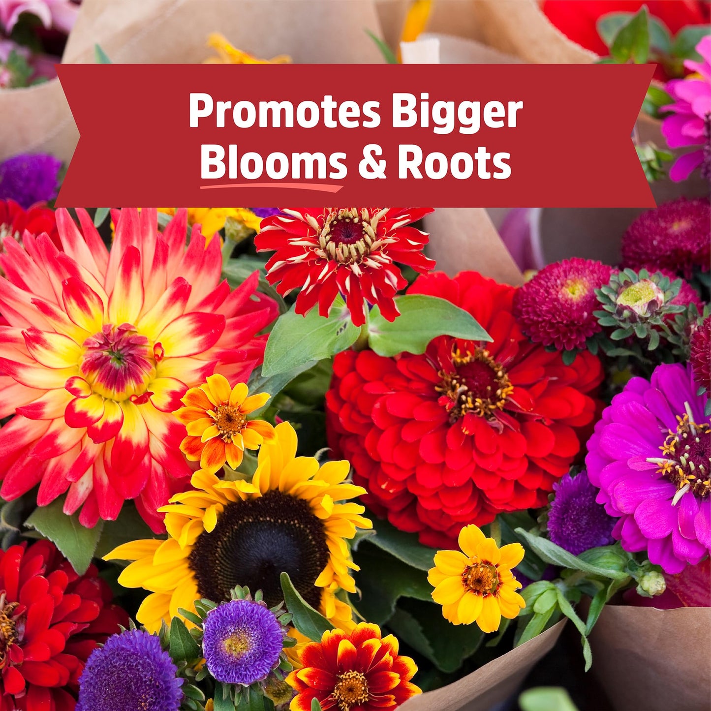 Back to the Roots Organic Worm Castings for Plants, Natural Fertilizer and Soil Enhancer for Gardening, Made in The USA, 5lb