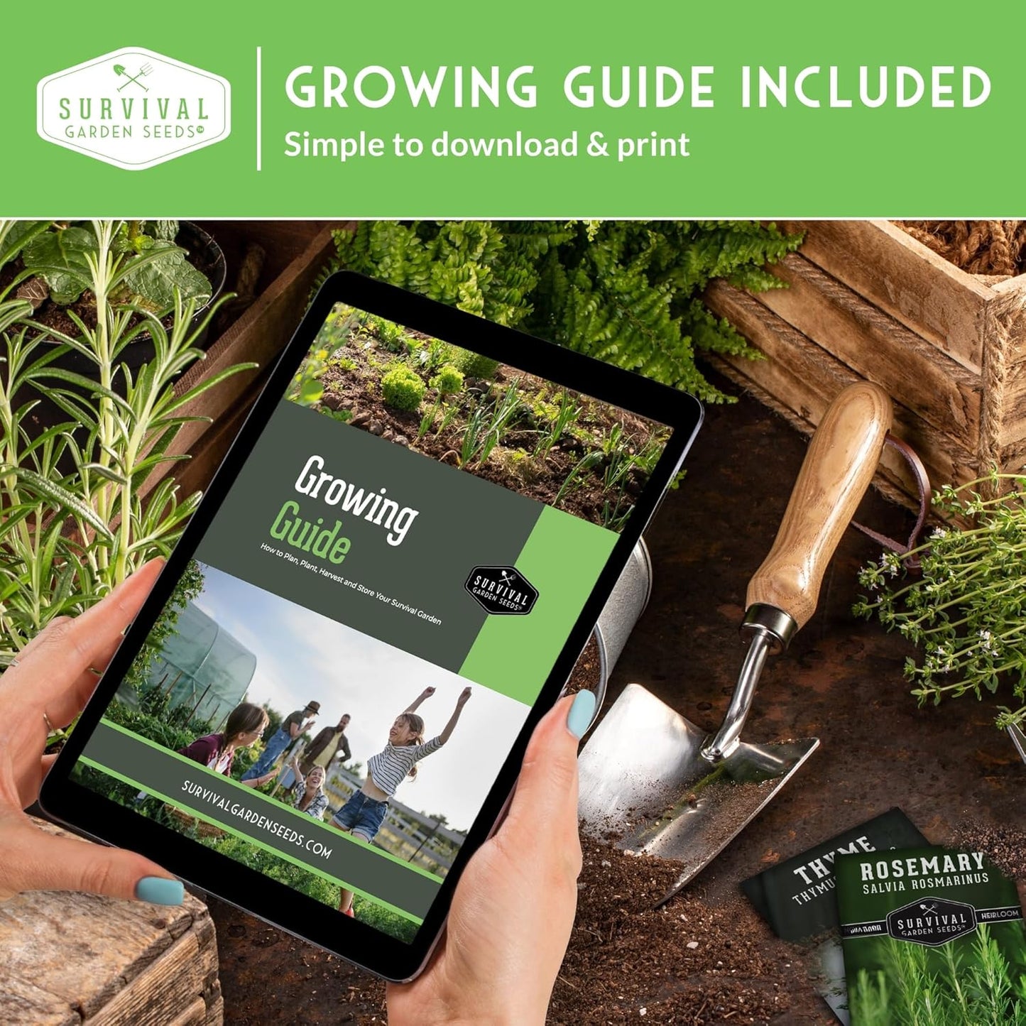 Herb Seeds Variety Pack | 10 Culinary Herbs for Planting – Basil, Cilantro, Lavender, Dill, Parsley, Oregano, Thyme, Sage, Chives, Marjoram – Indoor Kitchen Herb Kit – Survival Garden Seeds