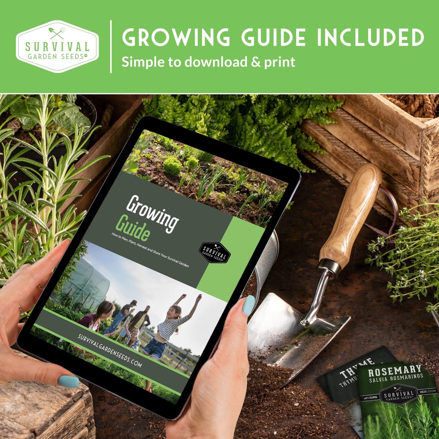 10 Flower Seed Collection for Planting | Zinnia, Sunflower, Marigold, Snapdragon, Nasturtium, Morning Glory, Chamomile, Shasta Daisy, Purple Coneflower, Four O’Clock - Survival Garden Seeds