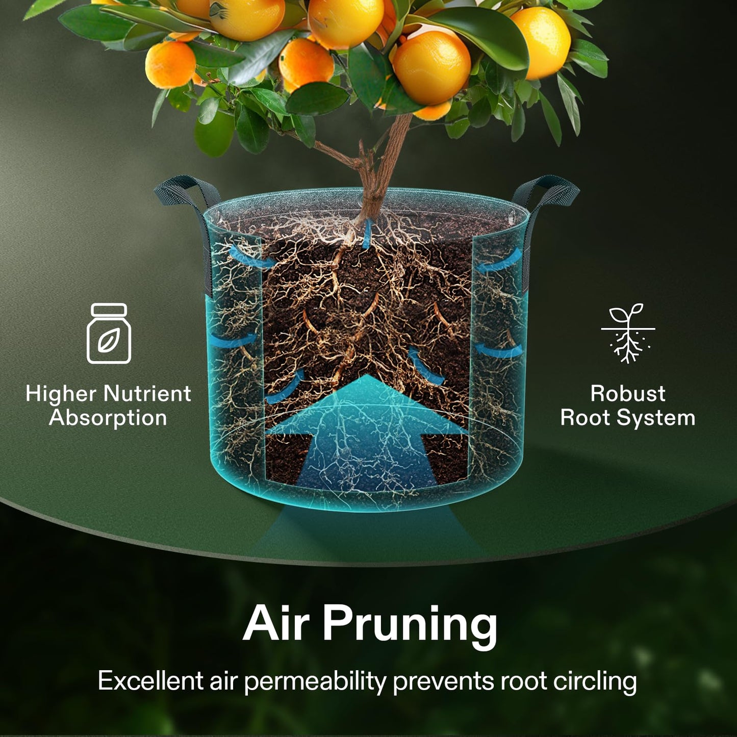 VIVOSUN 5-Pack 15 Gallon Grow Bags, 500G Thick Nonwoven Fabric Pots with Strap Handles, Multi-Purpose Rings, for Low Stress Plant Training Fruits, Vegetables, and Flowers