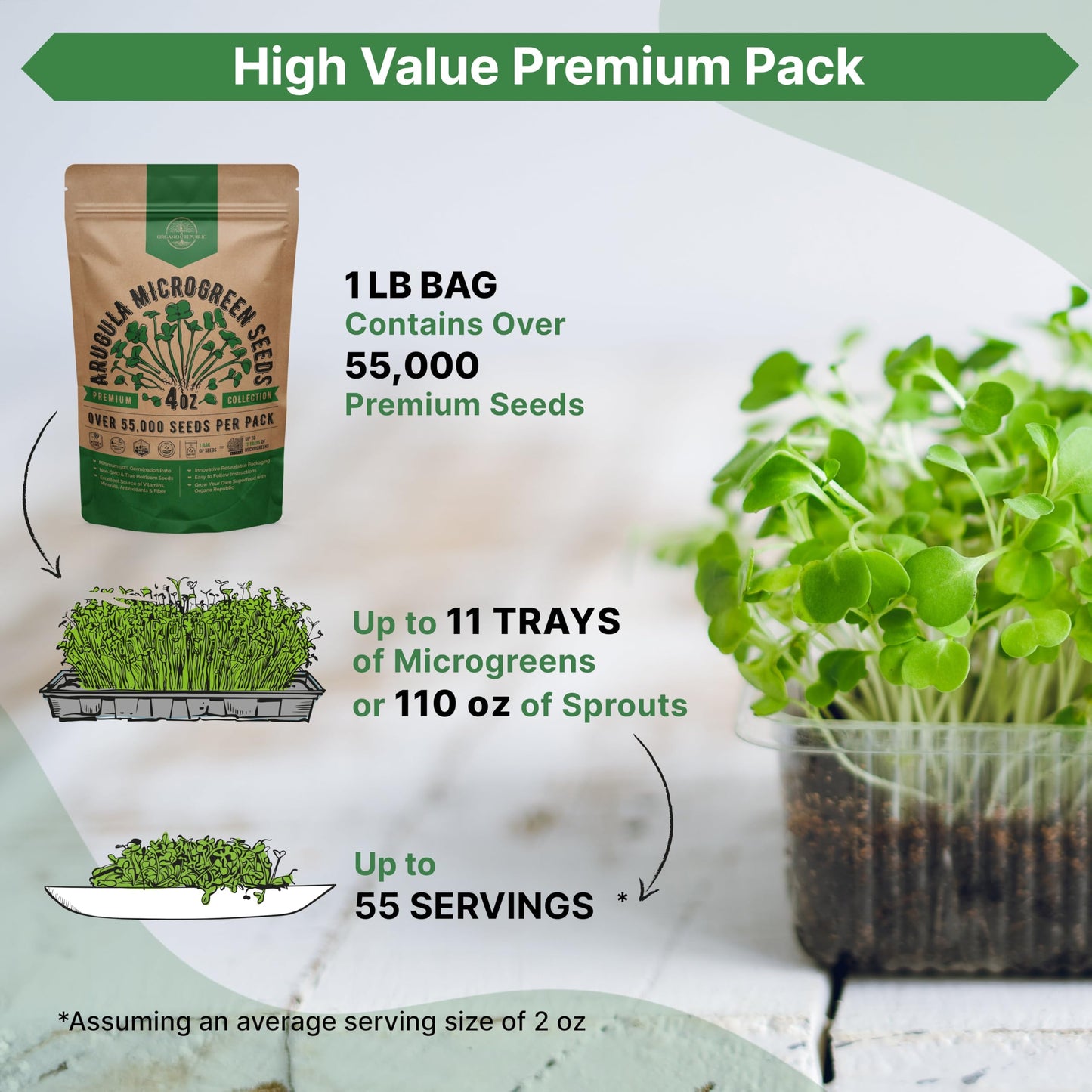 Organo Republic Arugula Sprouting & Microgreens Seeds - 55,000 Non-GMO Heirloom Seeds, Sprouts in 4 oz Resealable Bag for Planting & Growing Microgreens in Soil, Coconut Coir, Aeroponic & Hydroponic