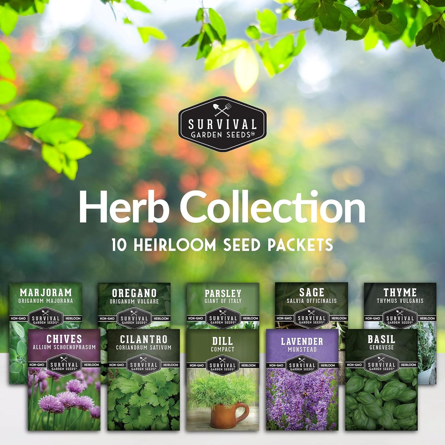 Herb Seeds Variety Pack | 10 Culinary Herbs for Planting – Basil, Cilantro, Lavender, Dill, Parsley, Oregano, Thyme, Sage, Chives, Marjoram – Indoor Kitchen Herb Kit – Survival Garden Seeds