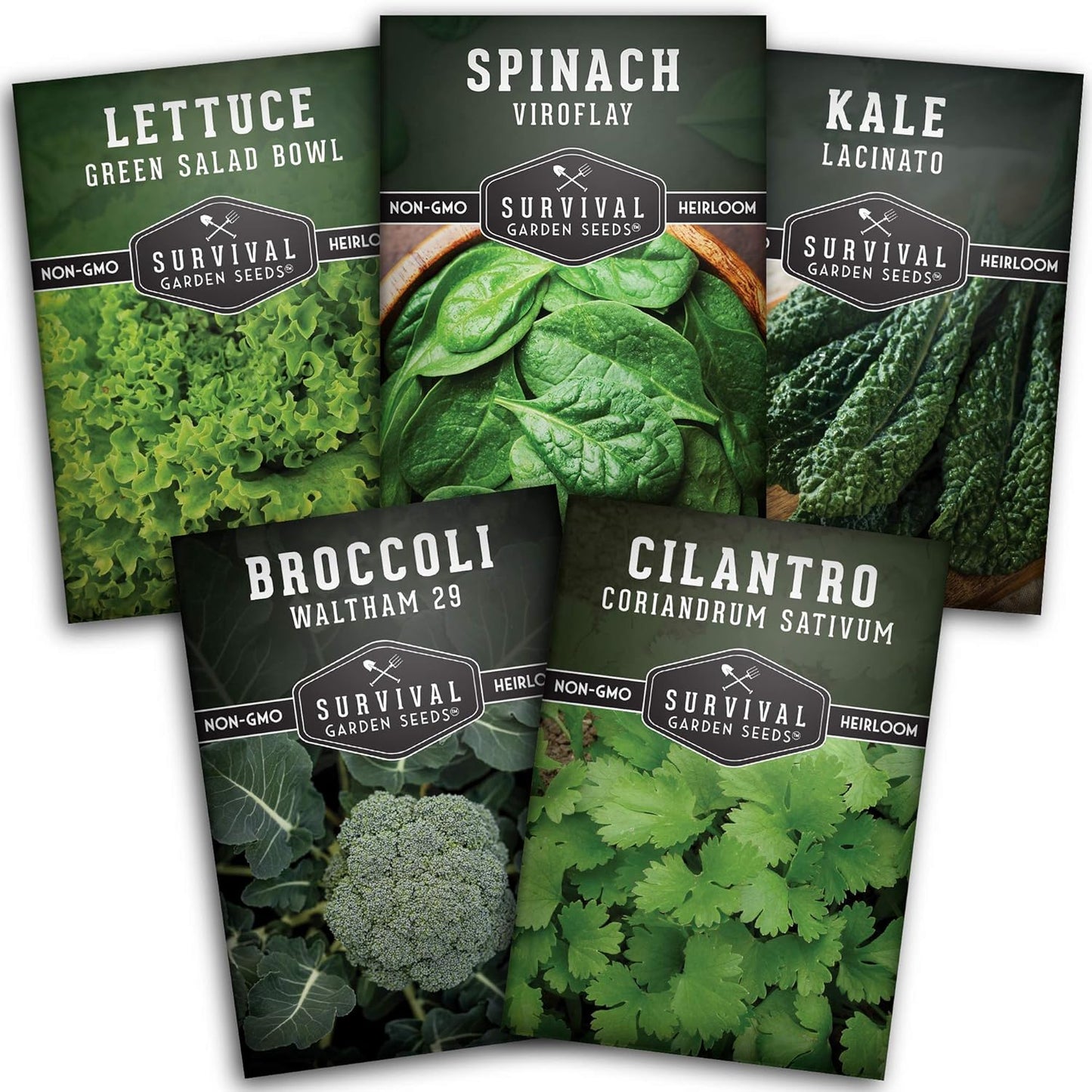 Cool Weather Garden Seeds Collection | Fall & Spring Planting – Grow Broccoli, Kale, Lettuce, Spinach & Cilantro | Cold Hardy Winter Vegetables – Survival Garden Seeds