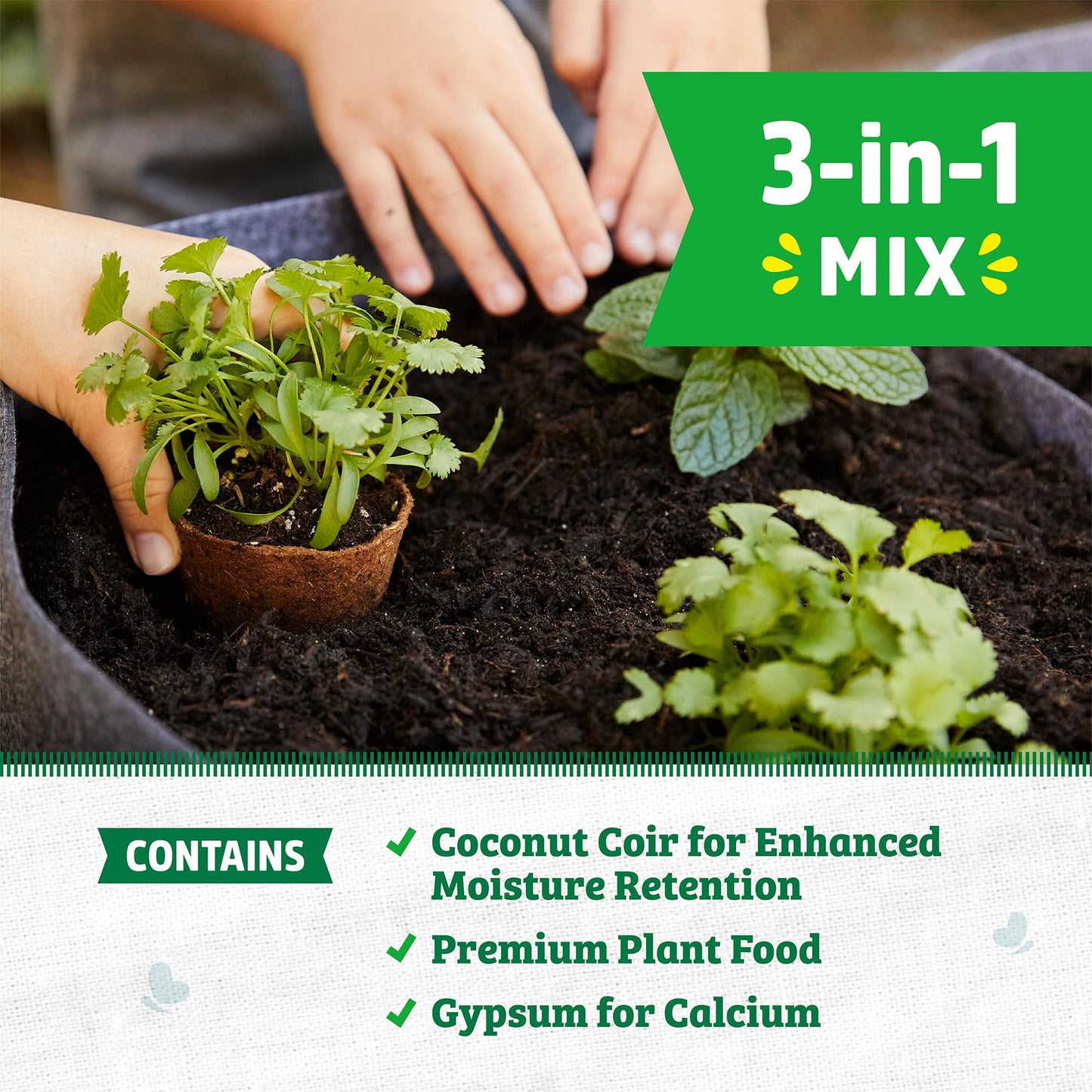 Back to the Roots 100% Organic Potting Mix (Value 12 Quart) | Premium Blend | Made in The USA