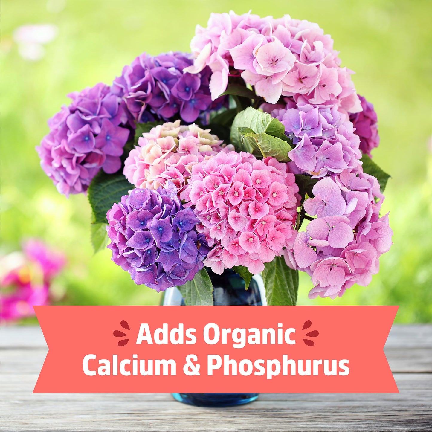 Back to the Roots Organic Worm Castings for Plants, Natural Fertilizer and Soil Enhancer for Gardening, Made in The USA, 5lb