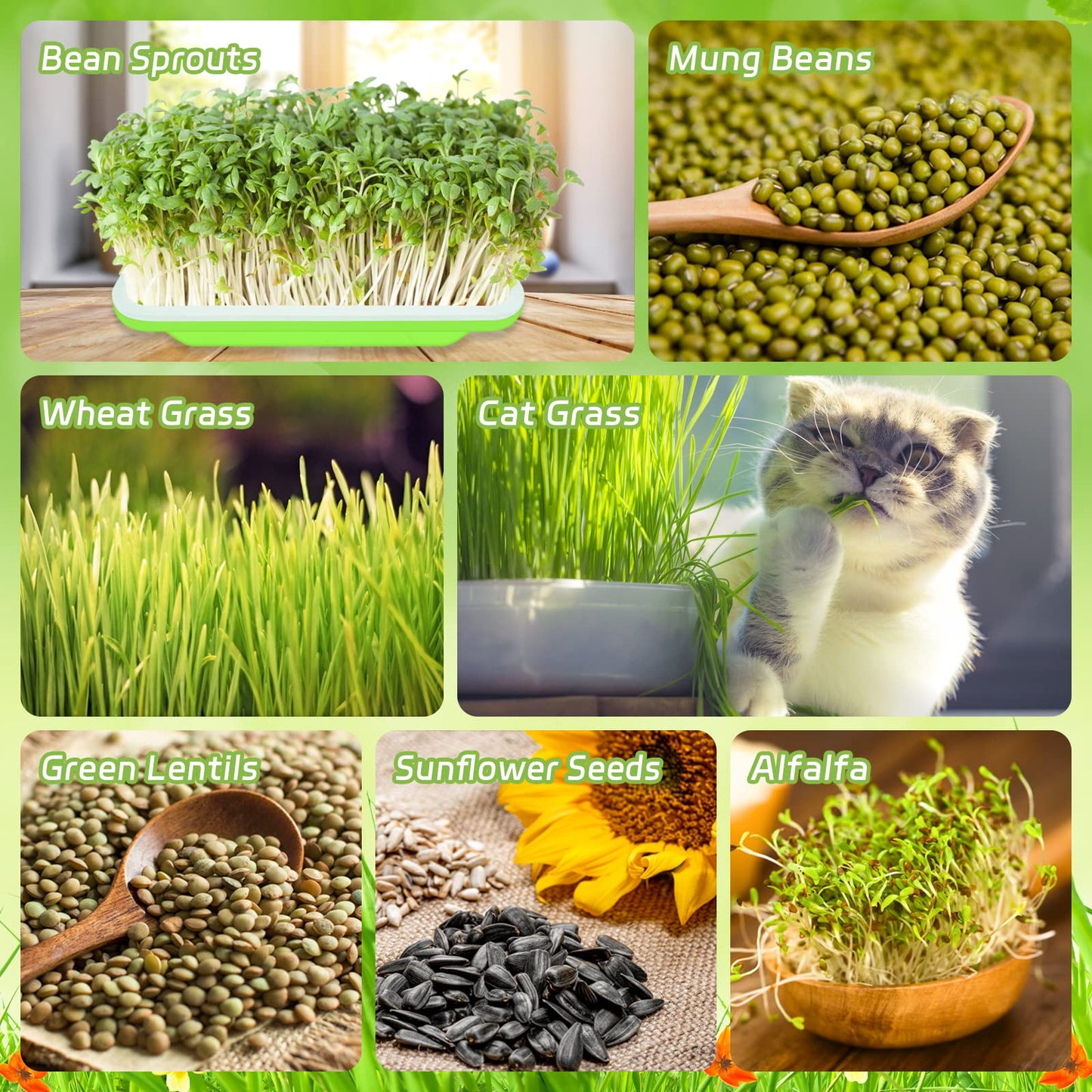 Legigo 10 Pack Green Seed Sprouter Trays- Soil-Free Cultivation Germination Tray, BPA Free Nursery Tray with Planting Paper for Indoors or Outdoors Sprouting Seeds, Grow Grass, Beans (Without Lids)