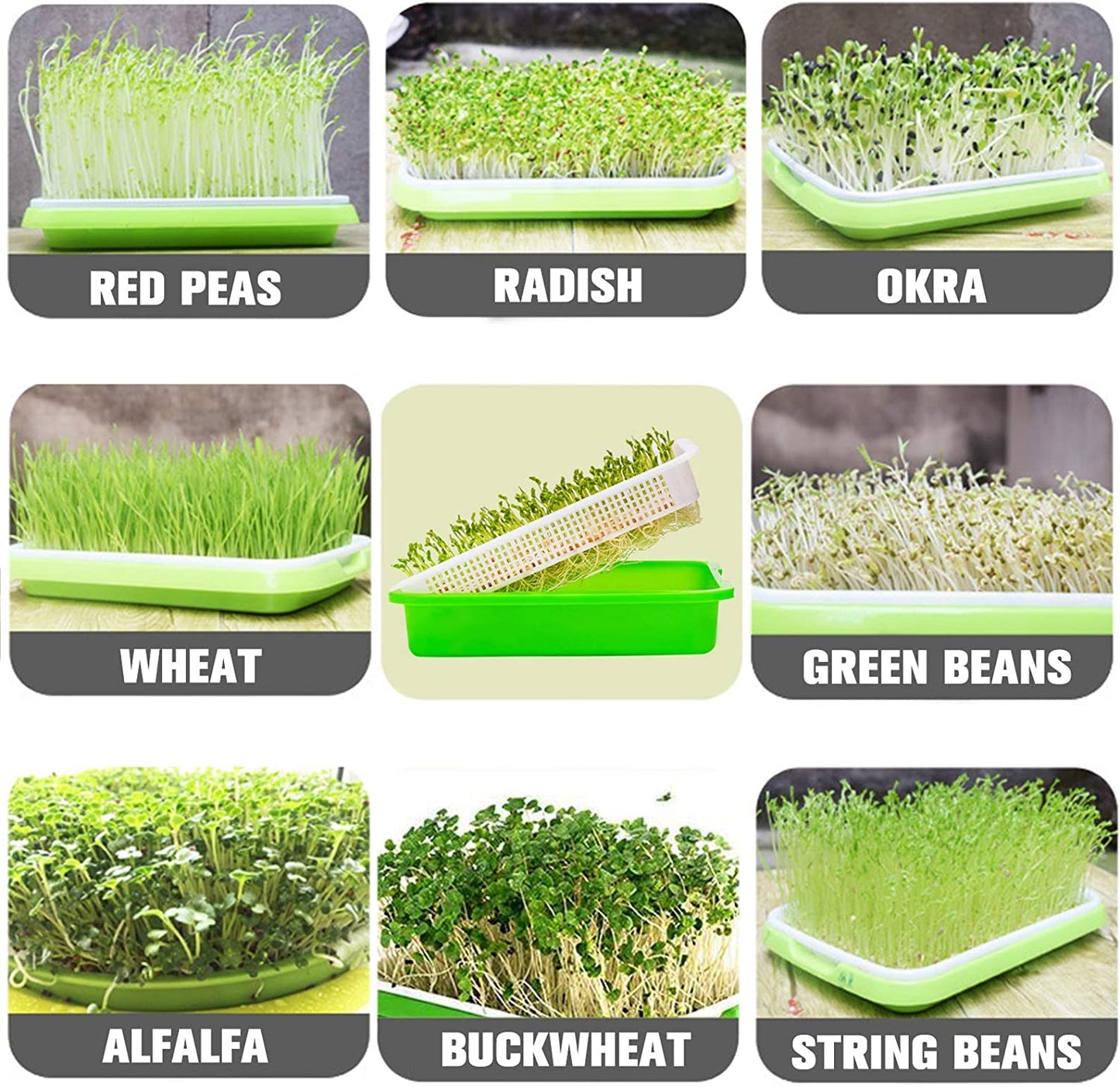 Legigo 10 Pack Green Seed Sprouter Trays- Soil-Free Cultivation Germination Tray, BPA Free Nursery Tray with Planting Paper for Indoors or Outdoors Sprouting Seeds, Grow Grass, Beans (Without Lids)