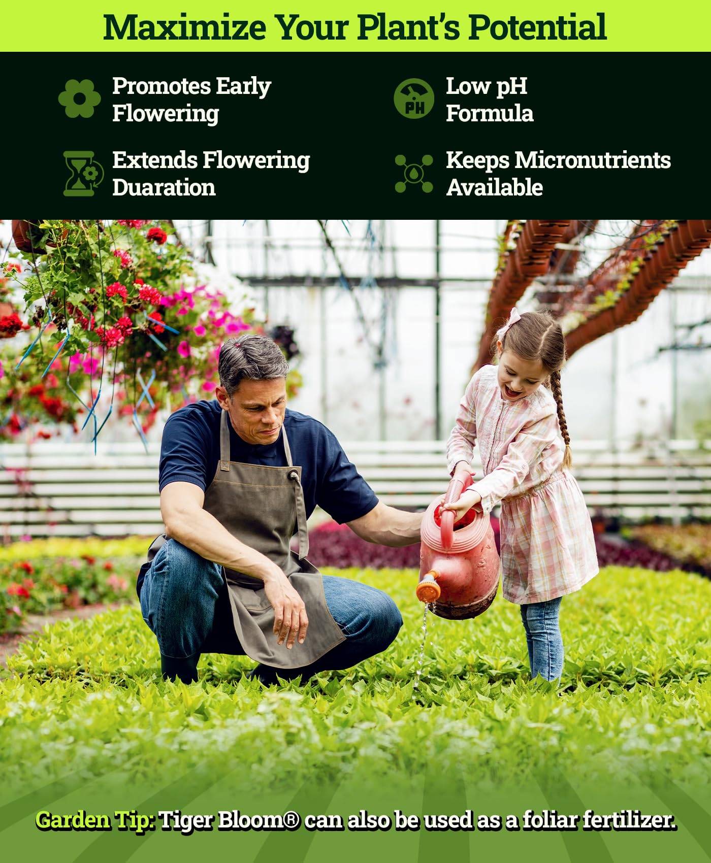 FoxFarm Tiger Bloom Liquid Fertilizer Concentrate - Fast Acting Formula for Vicious Growth with Phosphorus - Encourages Fruit, Flower & Bud Development, NPK 2-8-4 (Pint)