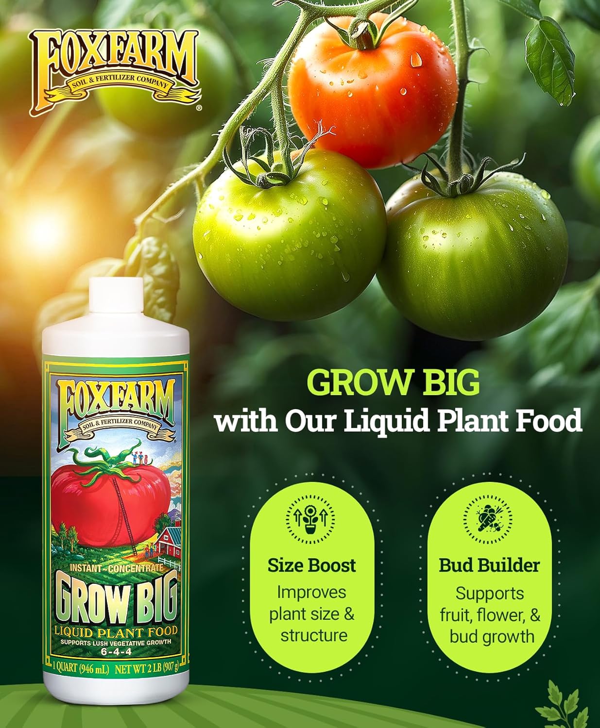 FoxFarm Grow Big Liquid Plant Food - Bloom Fertilizer for Flowers, Fruits, and Vegetables, Perfect for Indoor & Outdoor Potted Plants, NPK 6-4-4 (Pint)