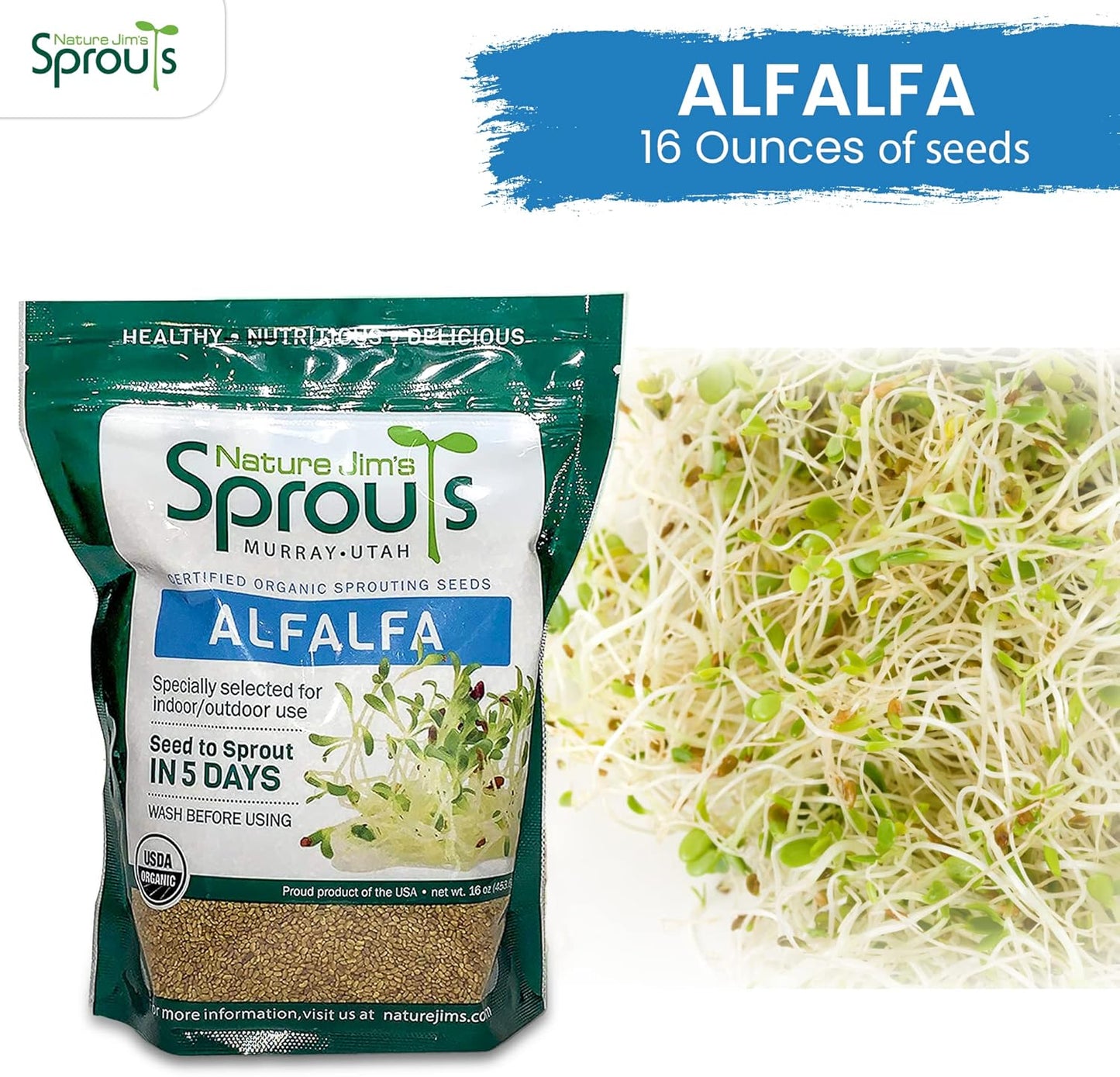 Nature Jims Sprouts Alfalfa Seeds – Non-GMO Organic Sprout Growing Kit for Planting – Premium Resealable Bag for Fresh Homegrown Sprouting Seeds – Rich in Nutrients, Vitamins, Fiber & Minerals – 16oz